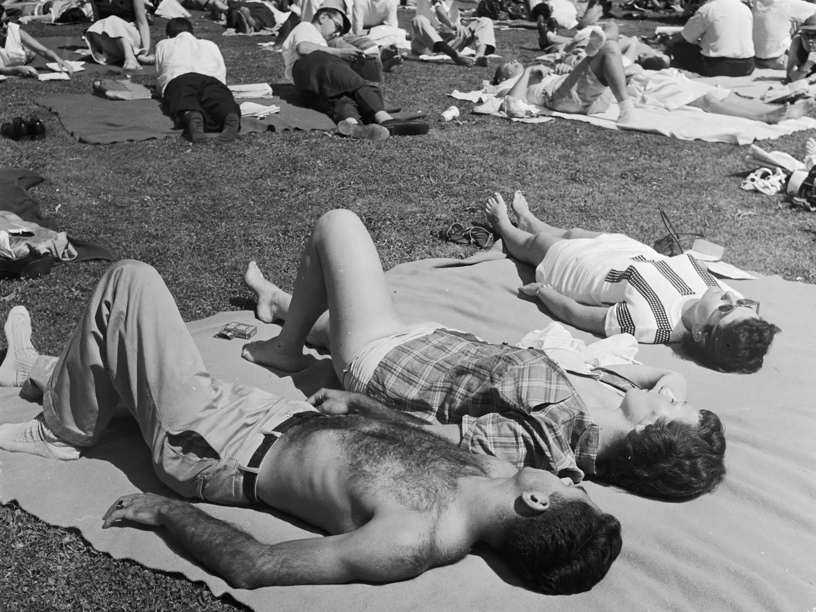 tanglewood concert sunbathers