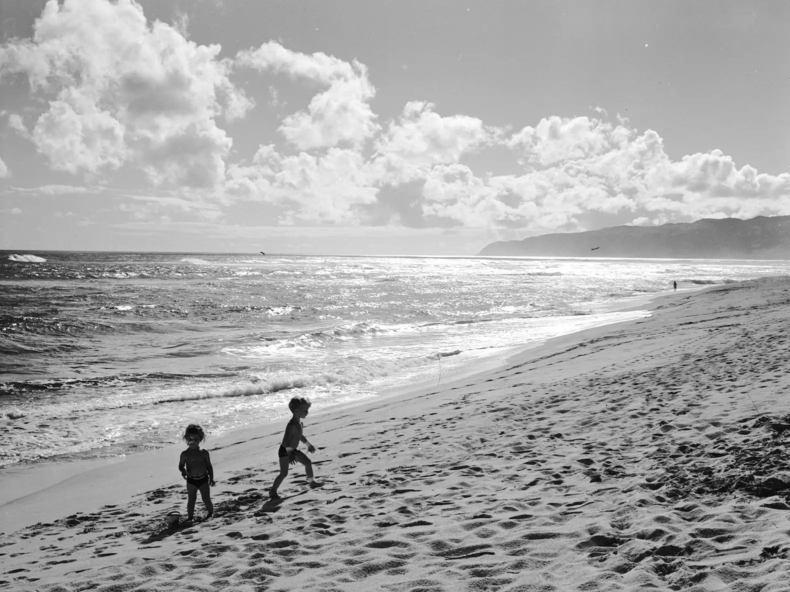 hawaii beach