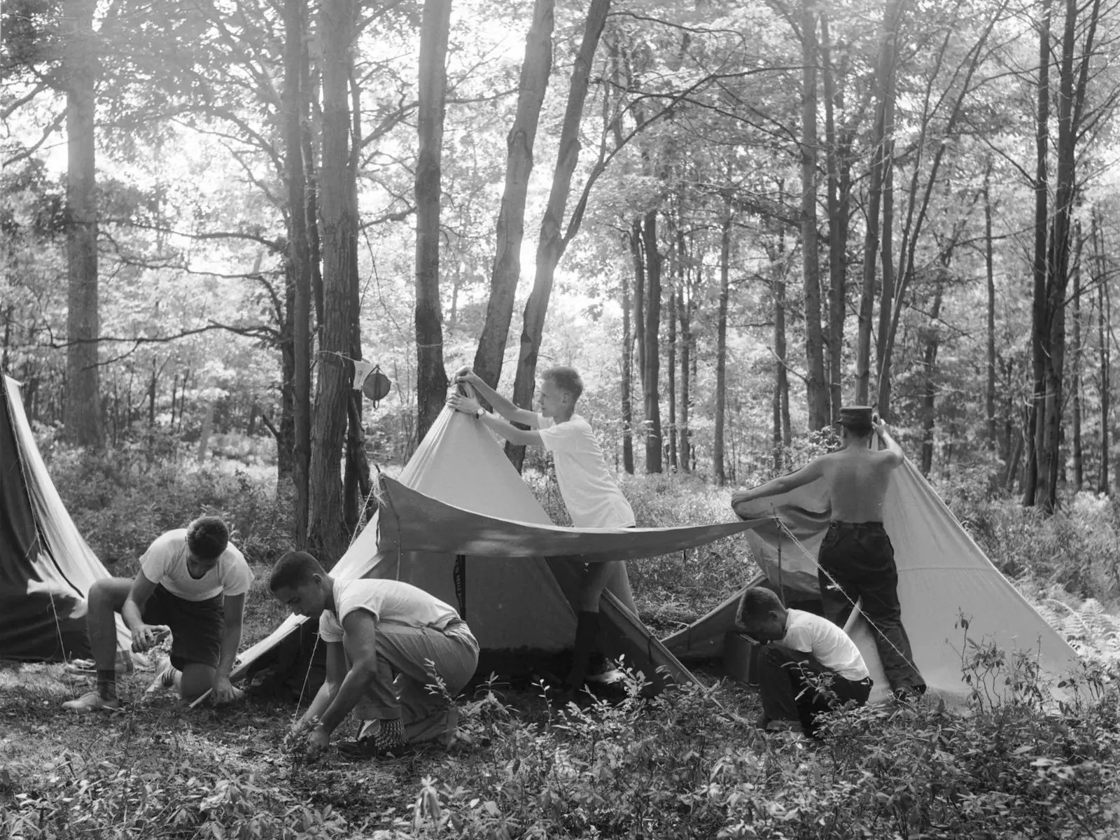boys pitching tents