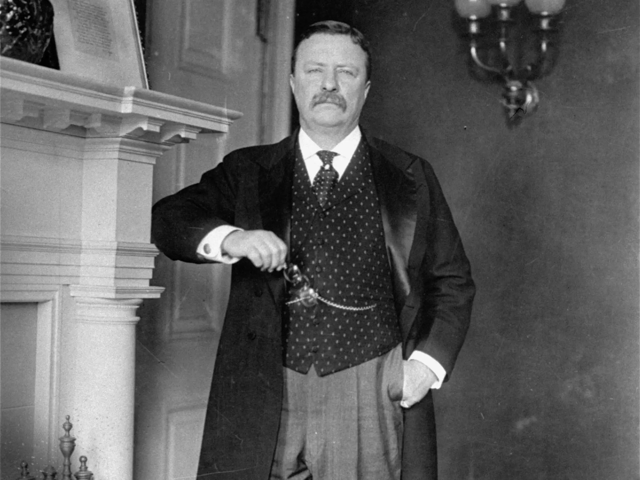 theodore roosevelt