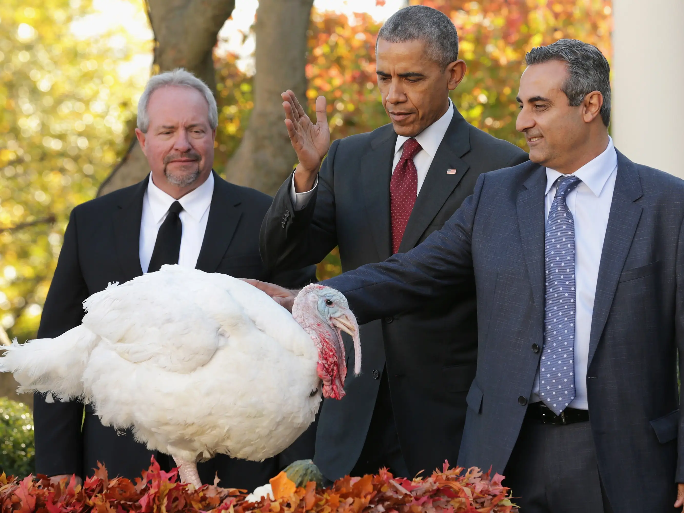 President Obama pardoning Abe the turkey in 2015.