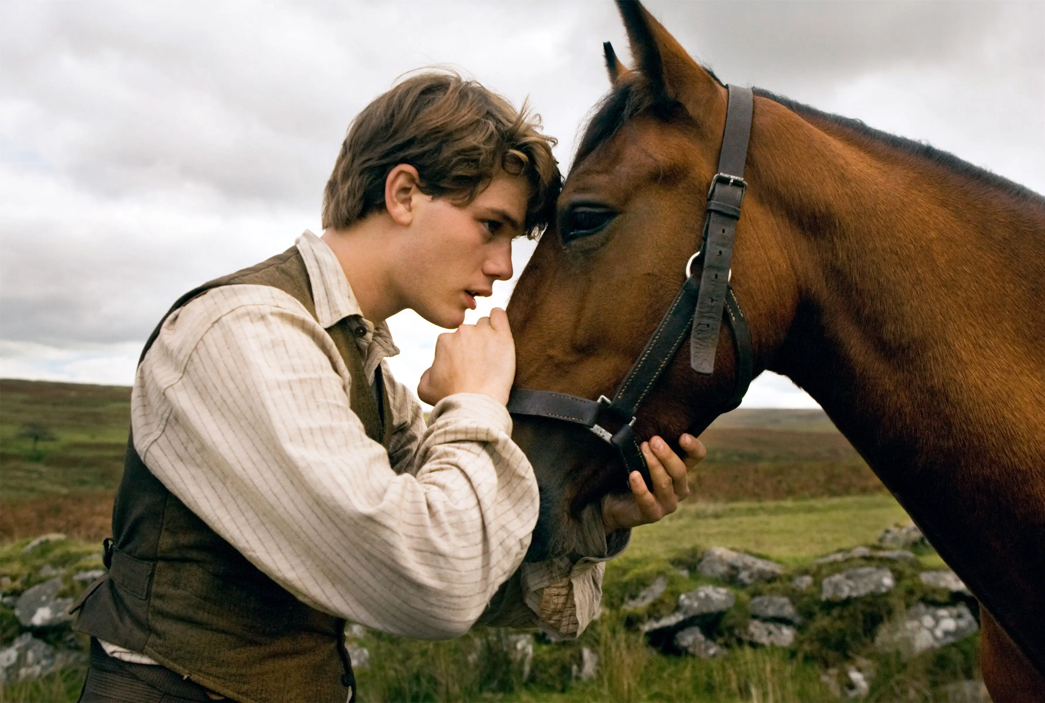 War Horse Disney