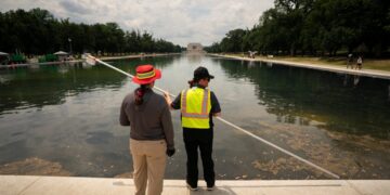 Trump might really drain the swamp