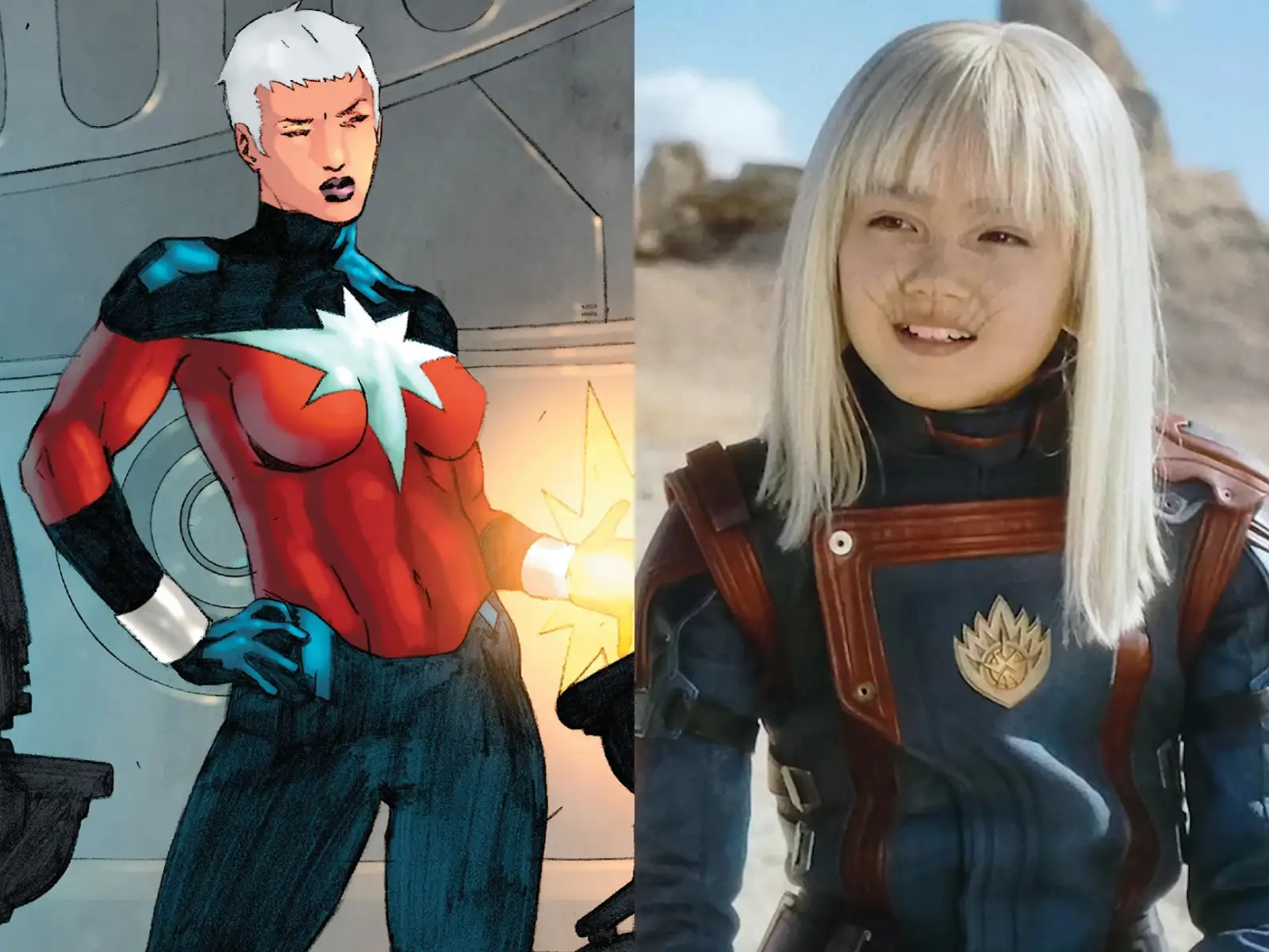 phyla-vell