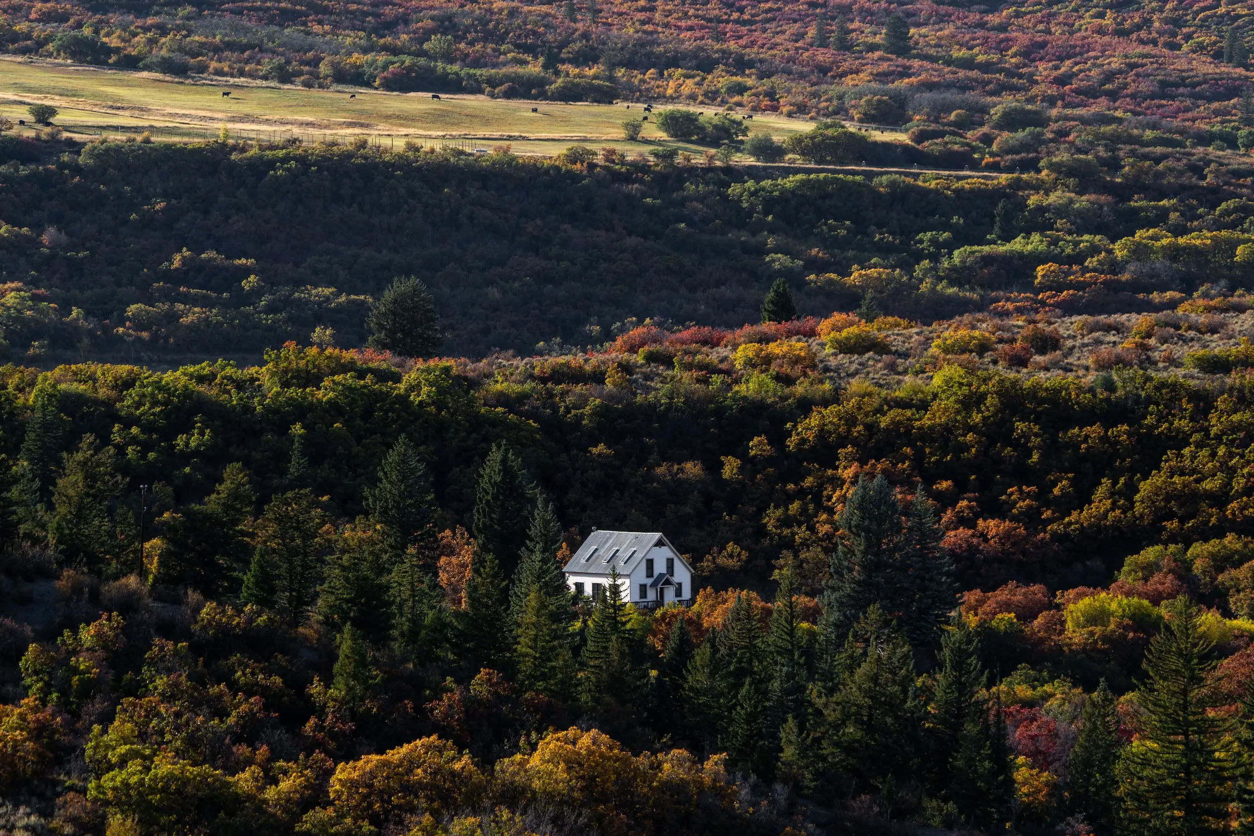 An aerial shot of a building among trees.