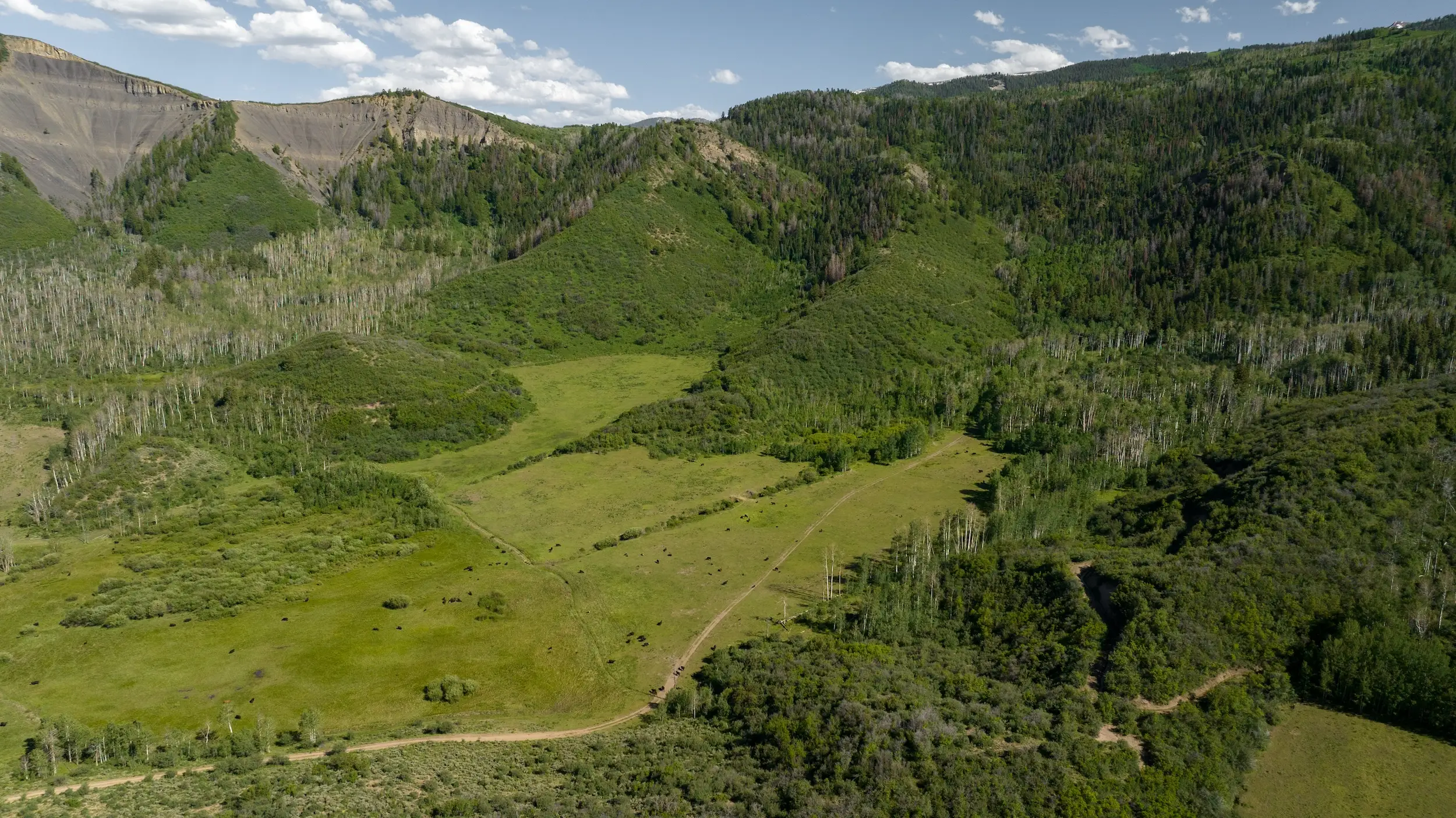 An aerial shot of tree-covered mountains.