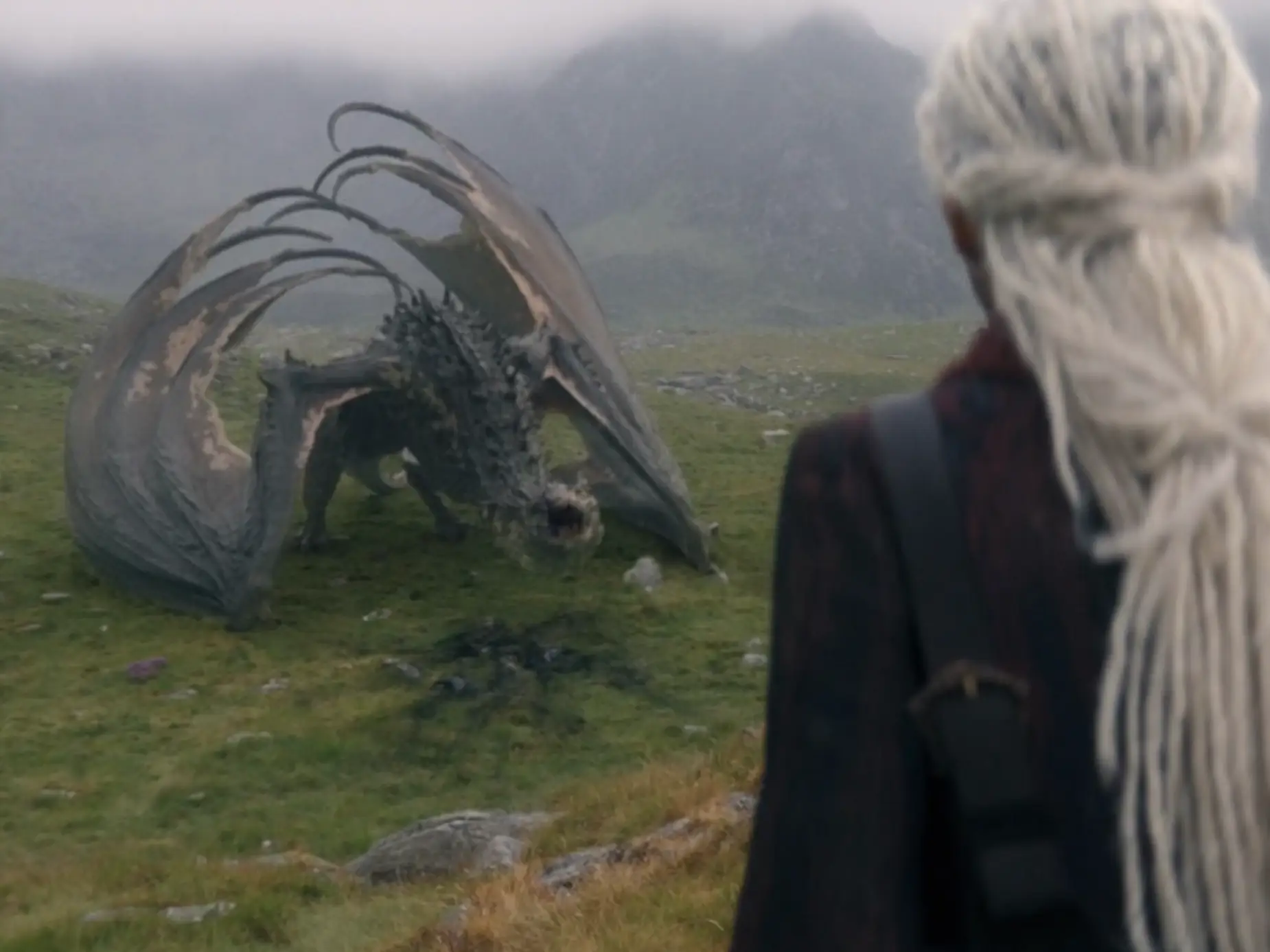 A woman with white dreadlocks looking at a gray dragon in a field.