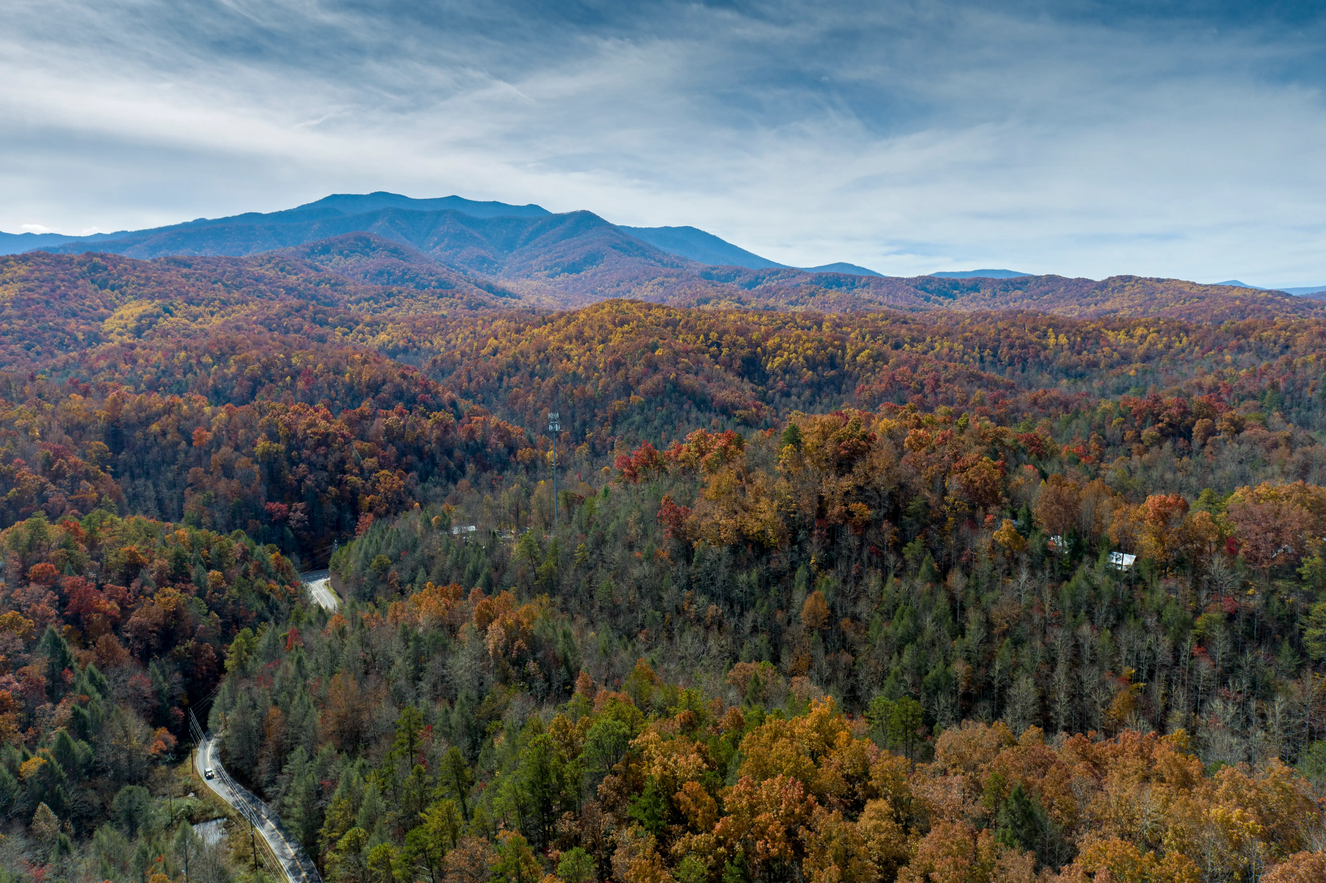 Aerial view of yellow, green, red trees in Great Smoky Mountains National Park