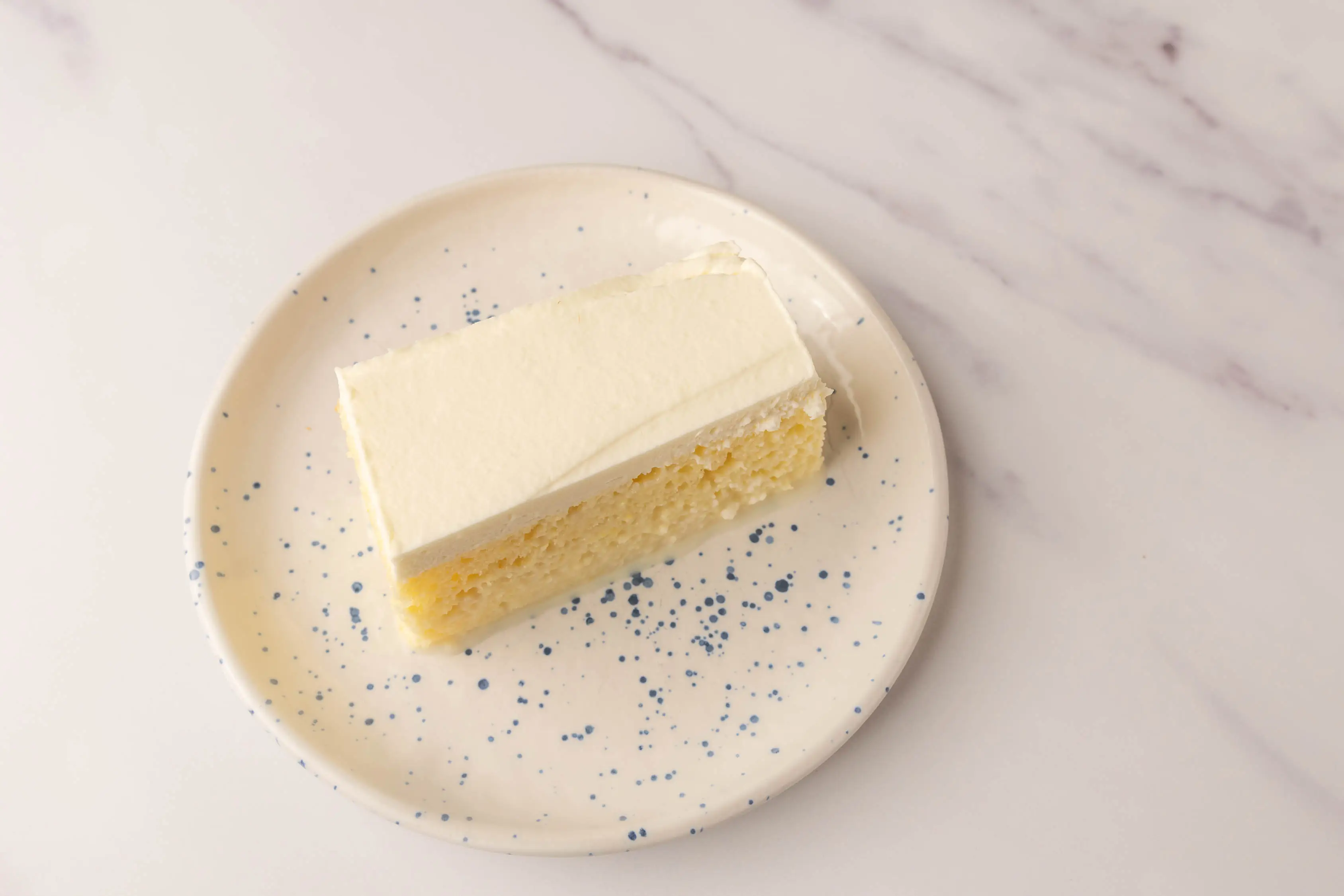 Slice of tres leches on white plate with blue speckles
