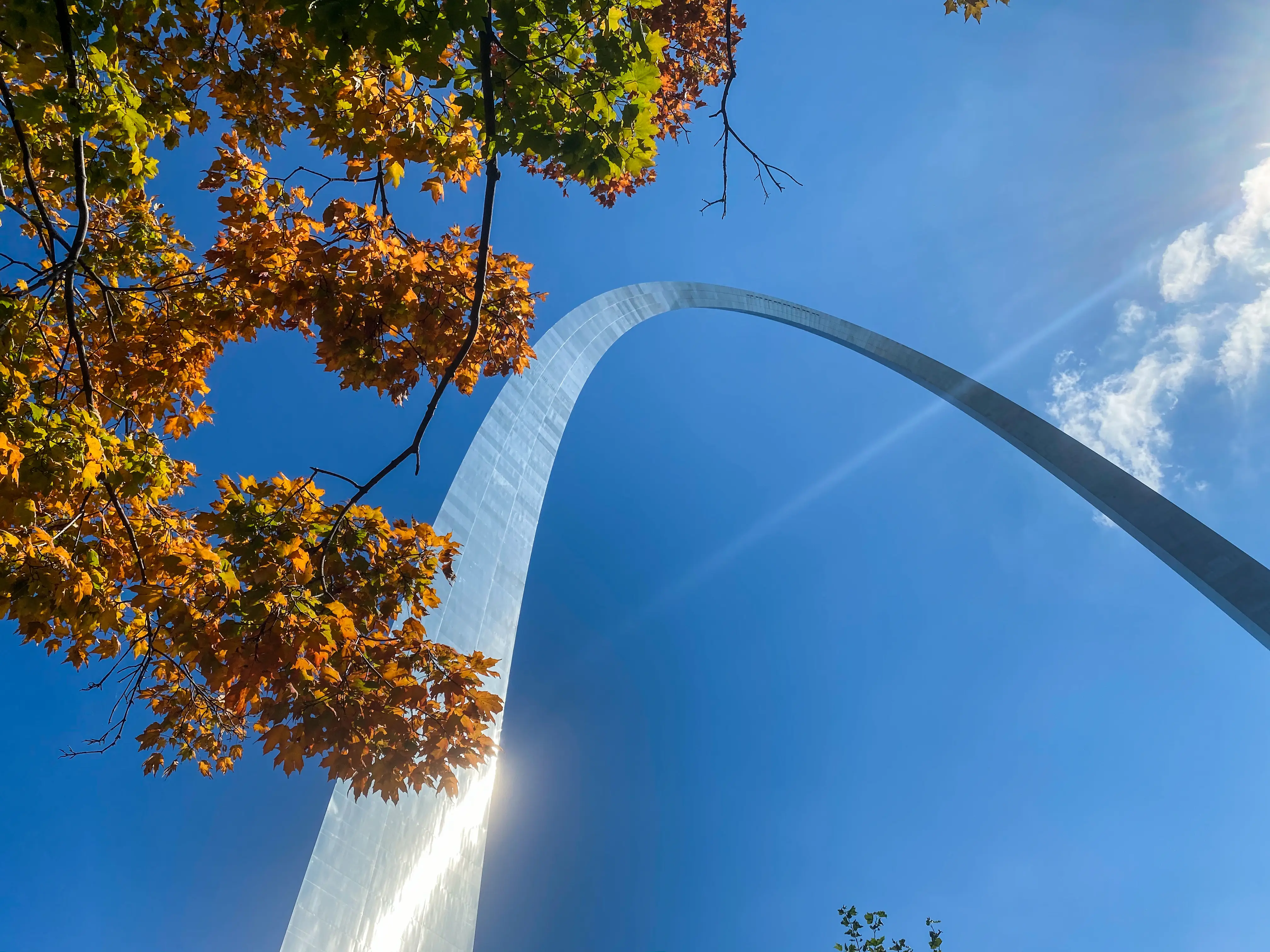 Autumn leaves on tree next to Gateway metal Arch