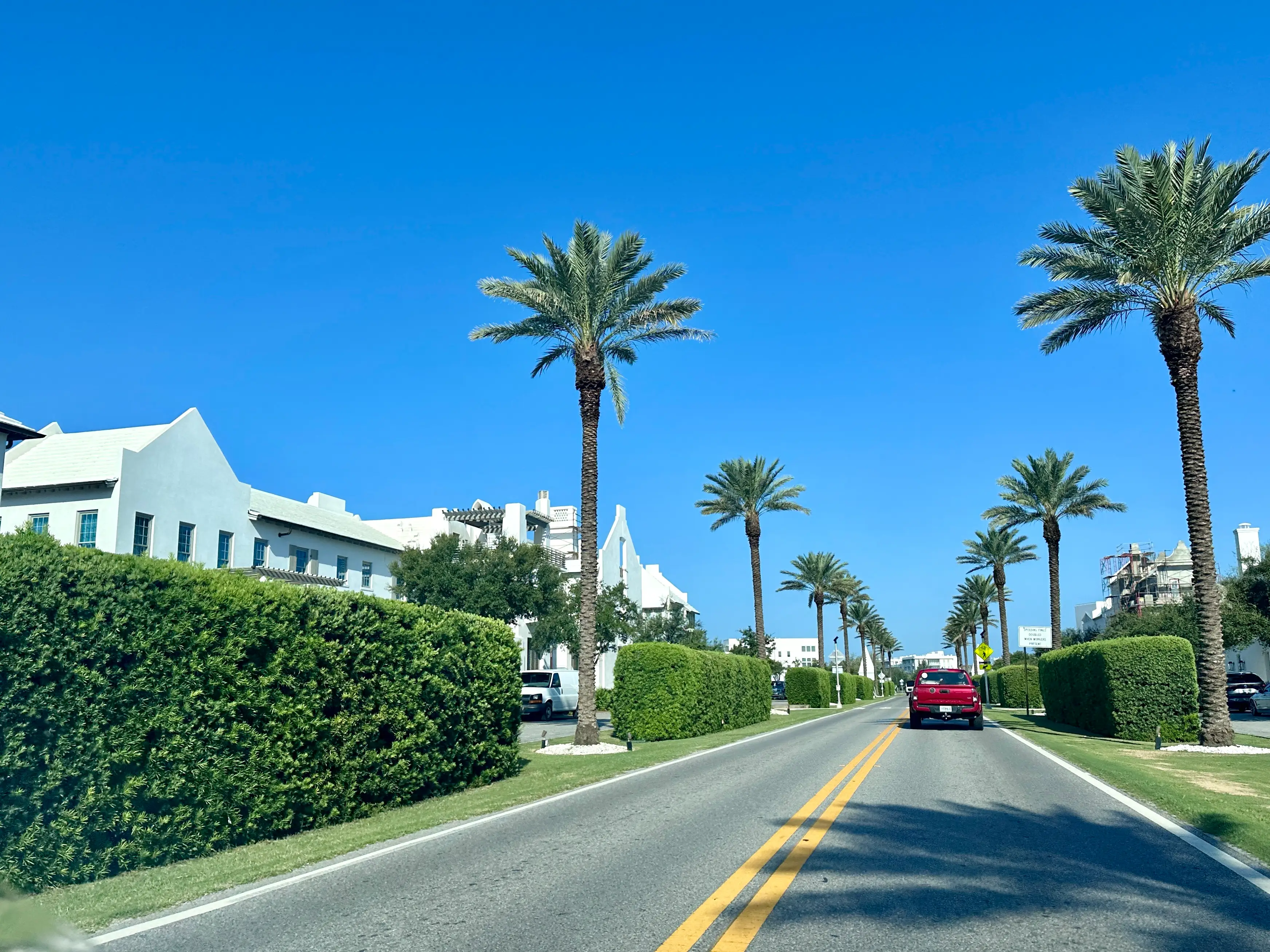 Palm-street lined road in 30A