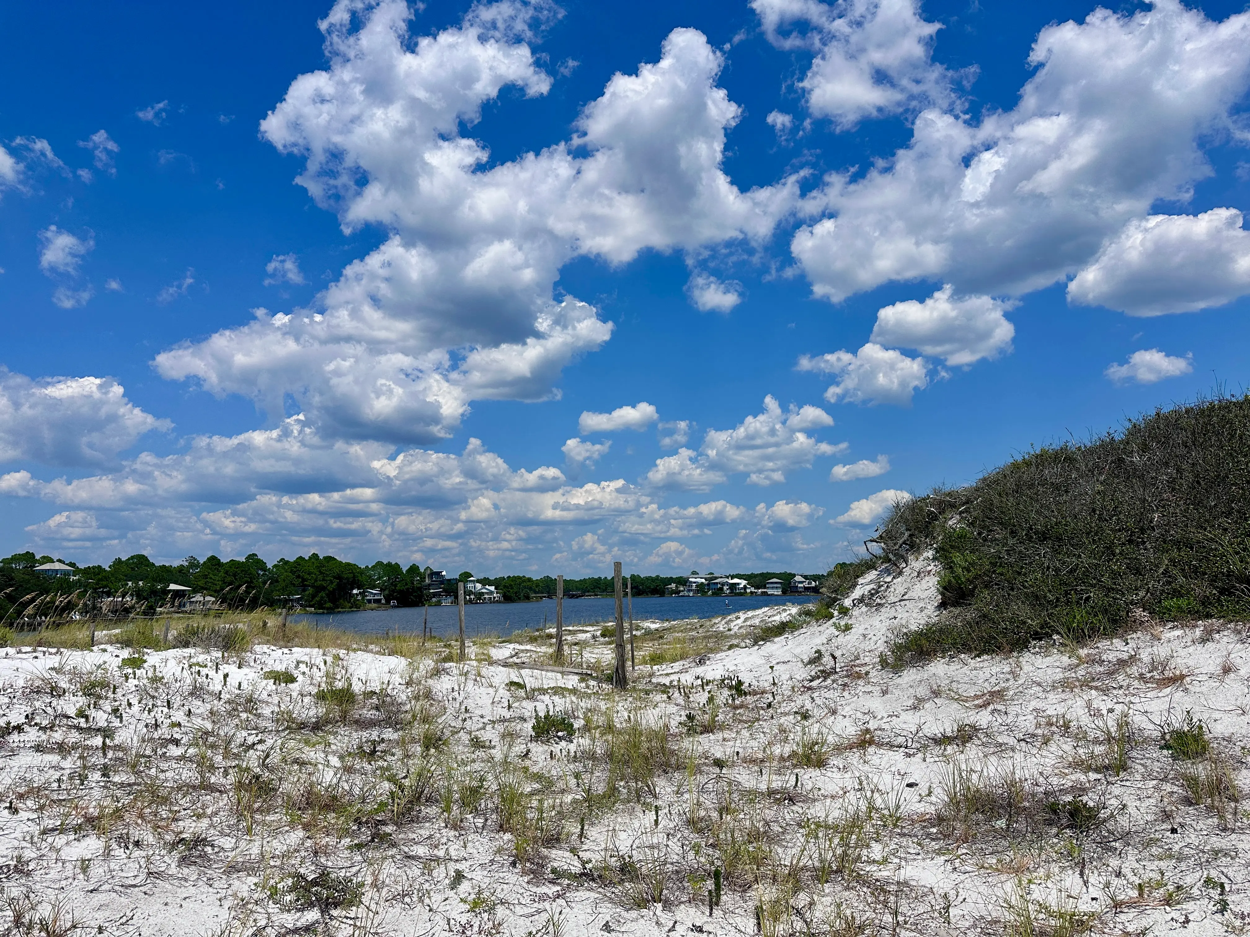 Dune Lakes - sand with lots of beach grass