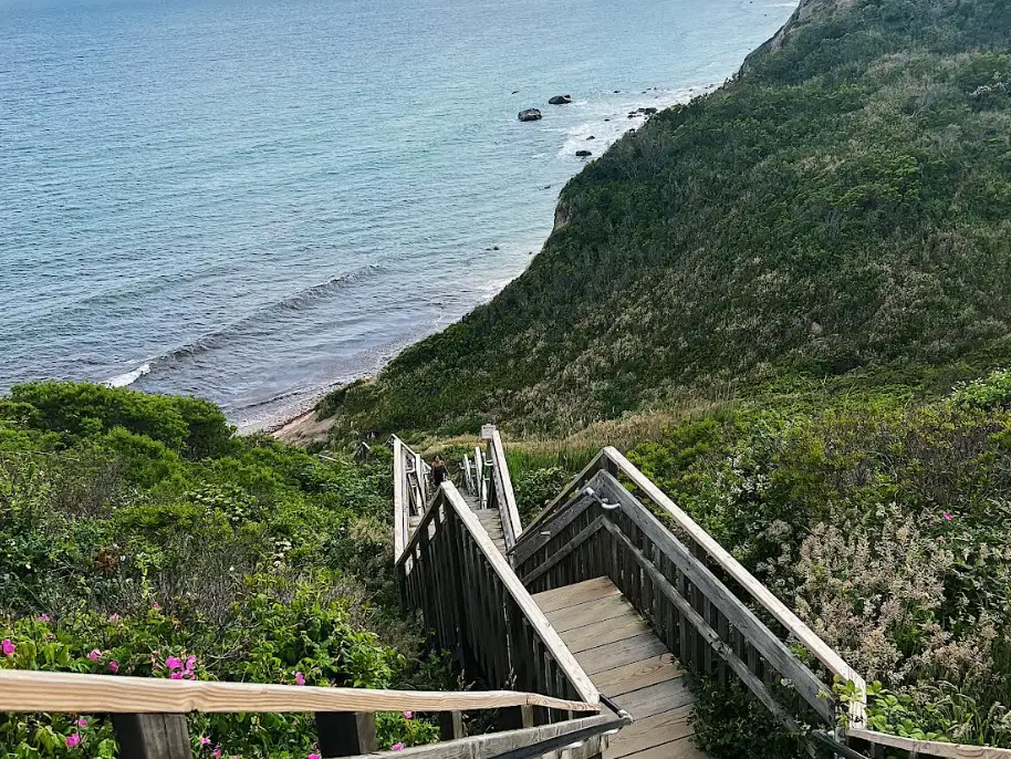 Steps down a bluff leading to a beach.