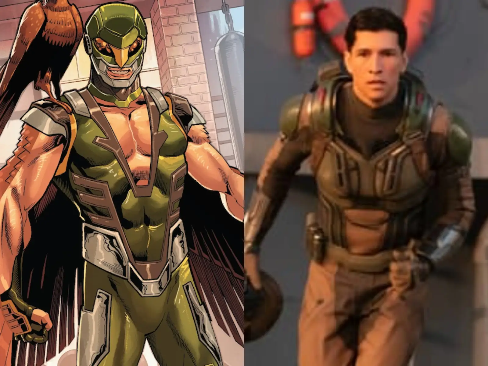 falcon