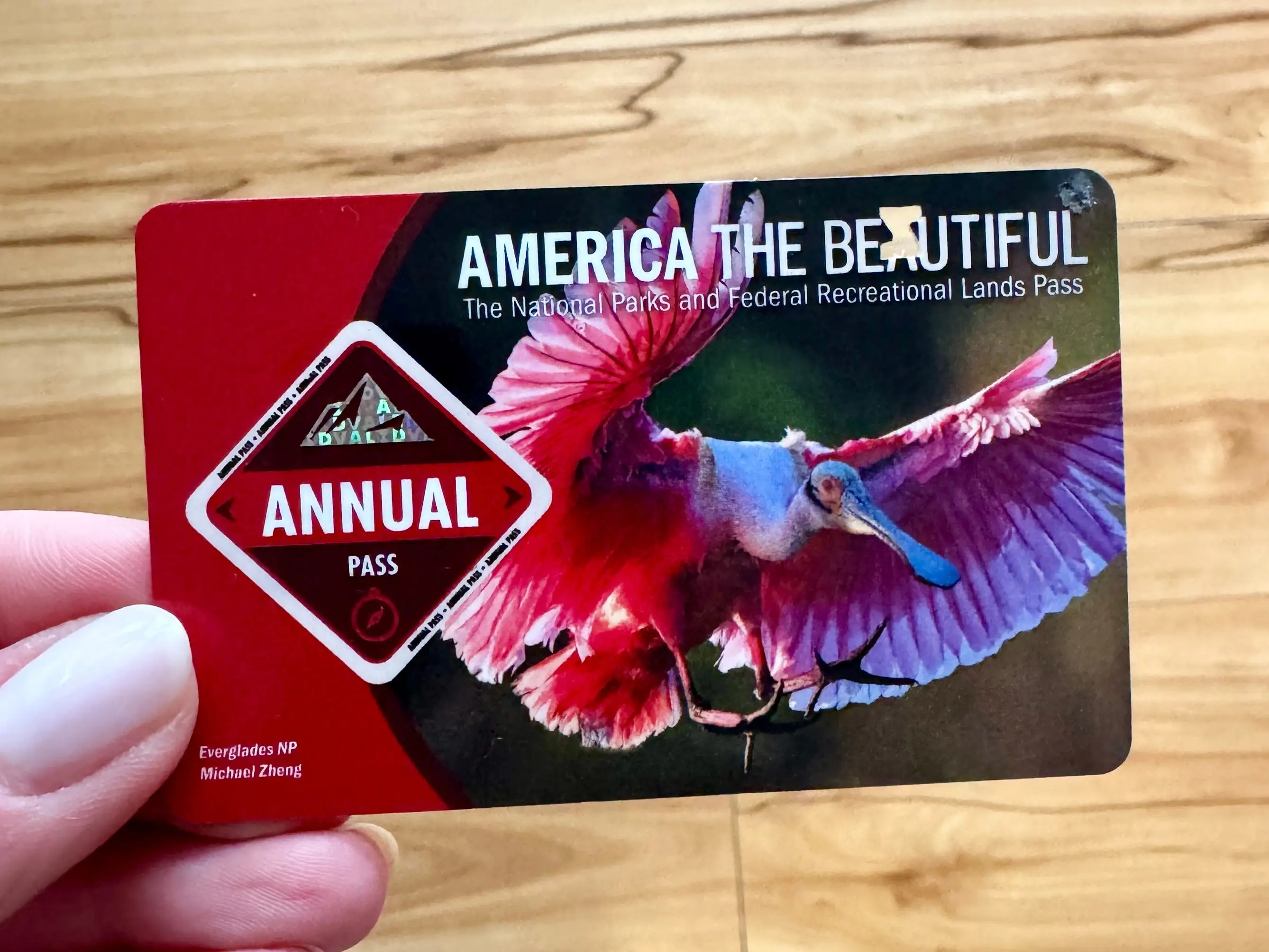 An America the Beautiful pass.