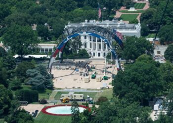 Trump supporter’s company pledges $1 million to fix White House lawn after UFC event
