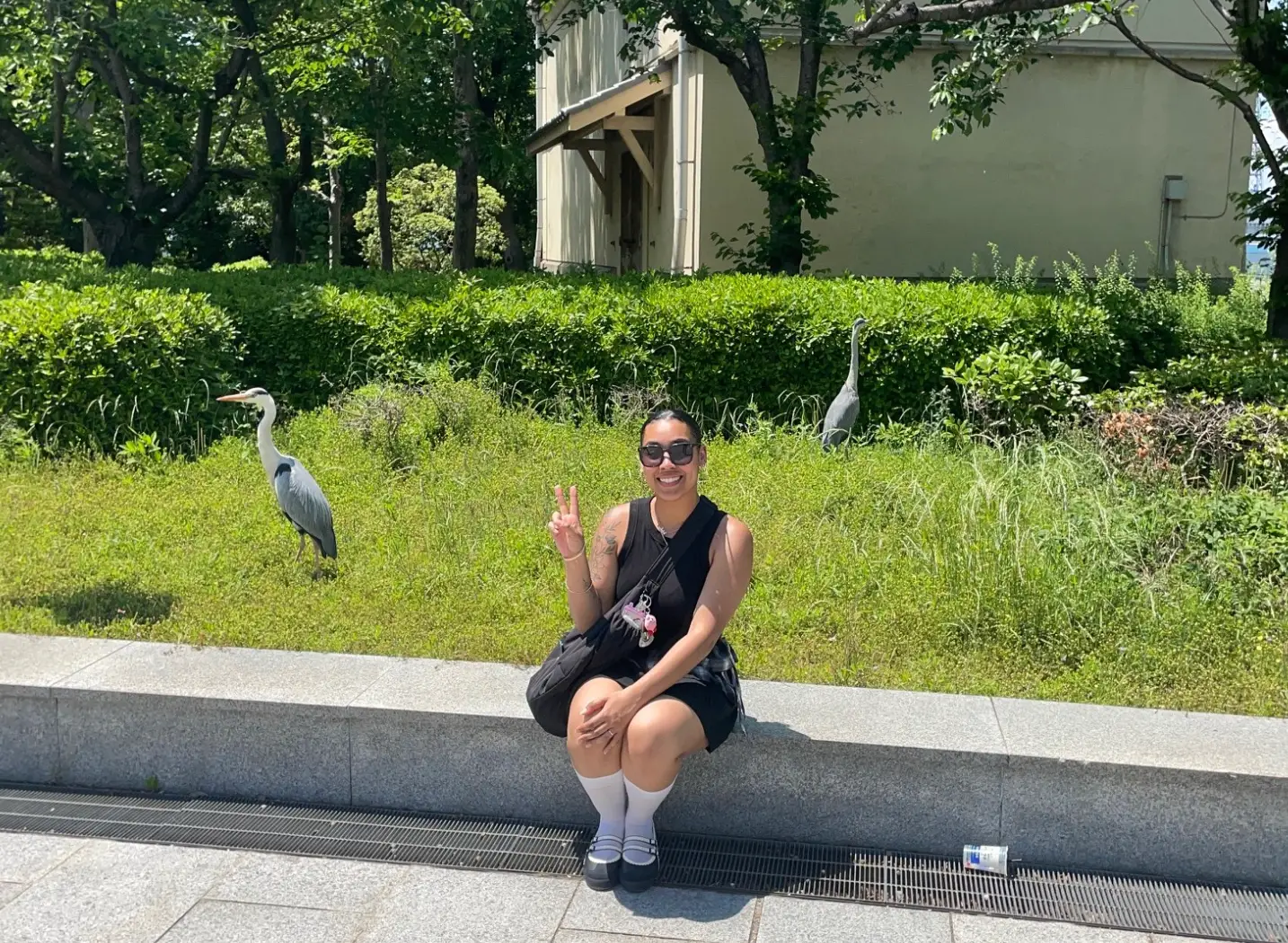 The writer sitting near pelicans in front of a grassy area in Osaka, Japan.