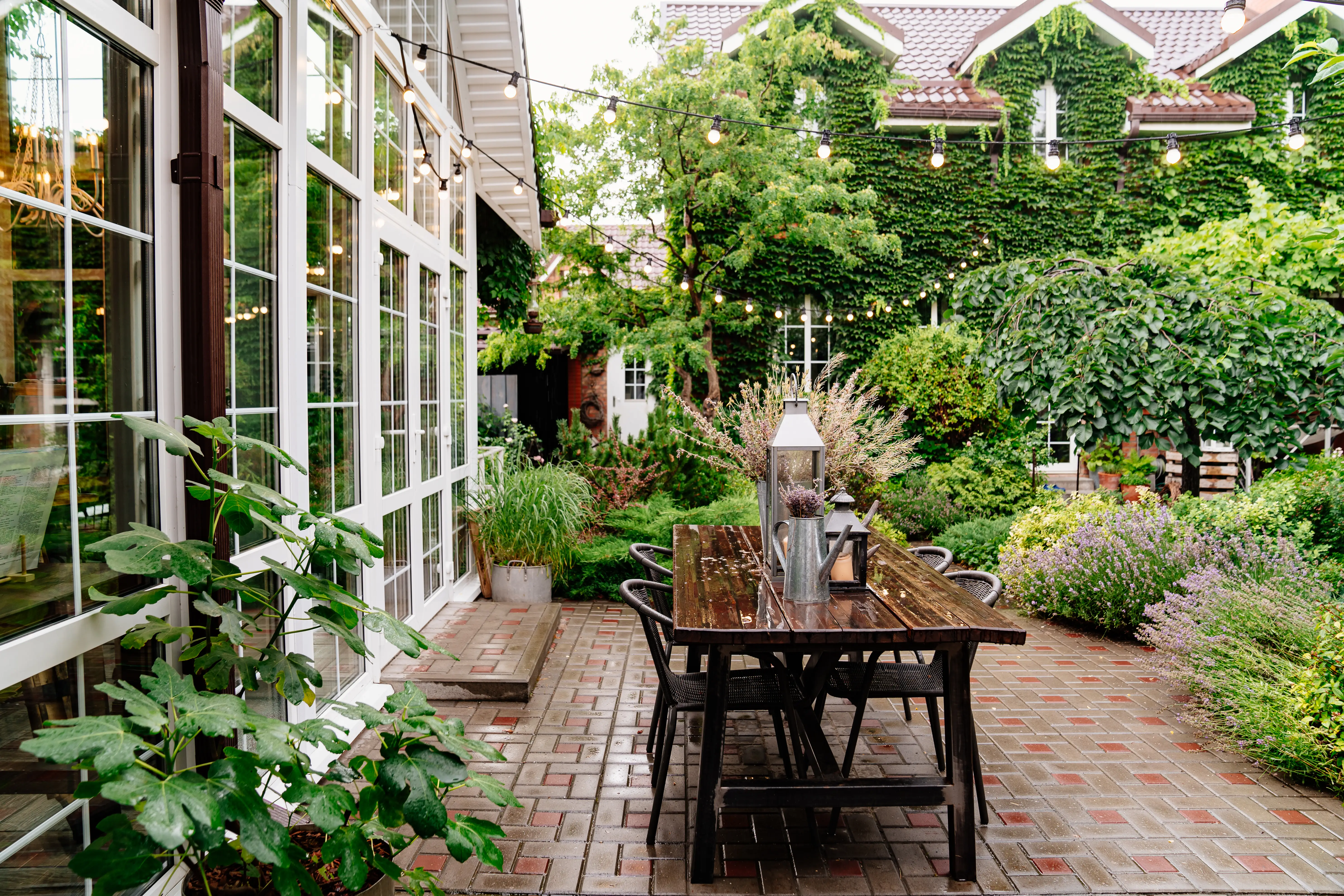 Backyard space with bistro lights, plants, outdoor seating