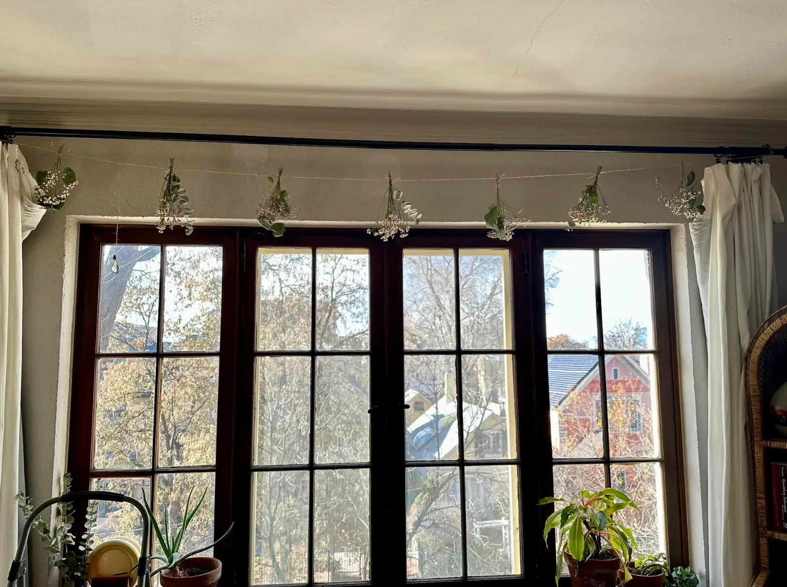 A big window and plants in the writer's home.
