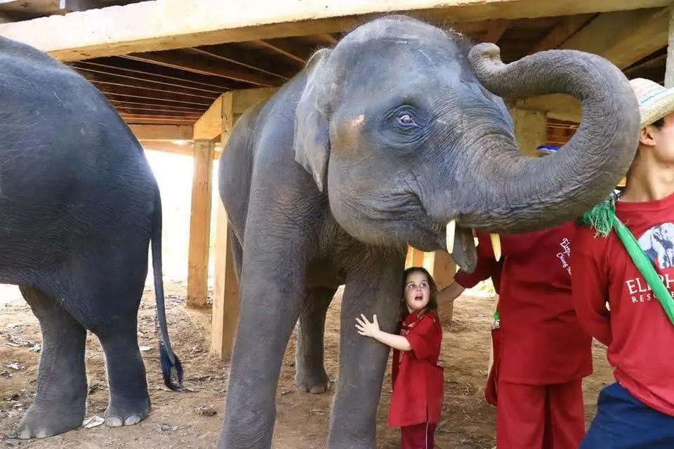 Girl with elephant