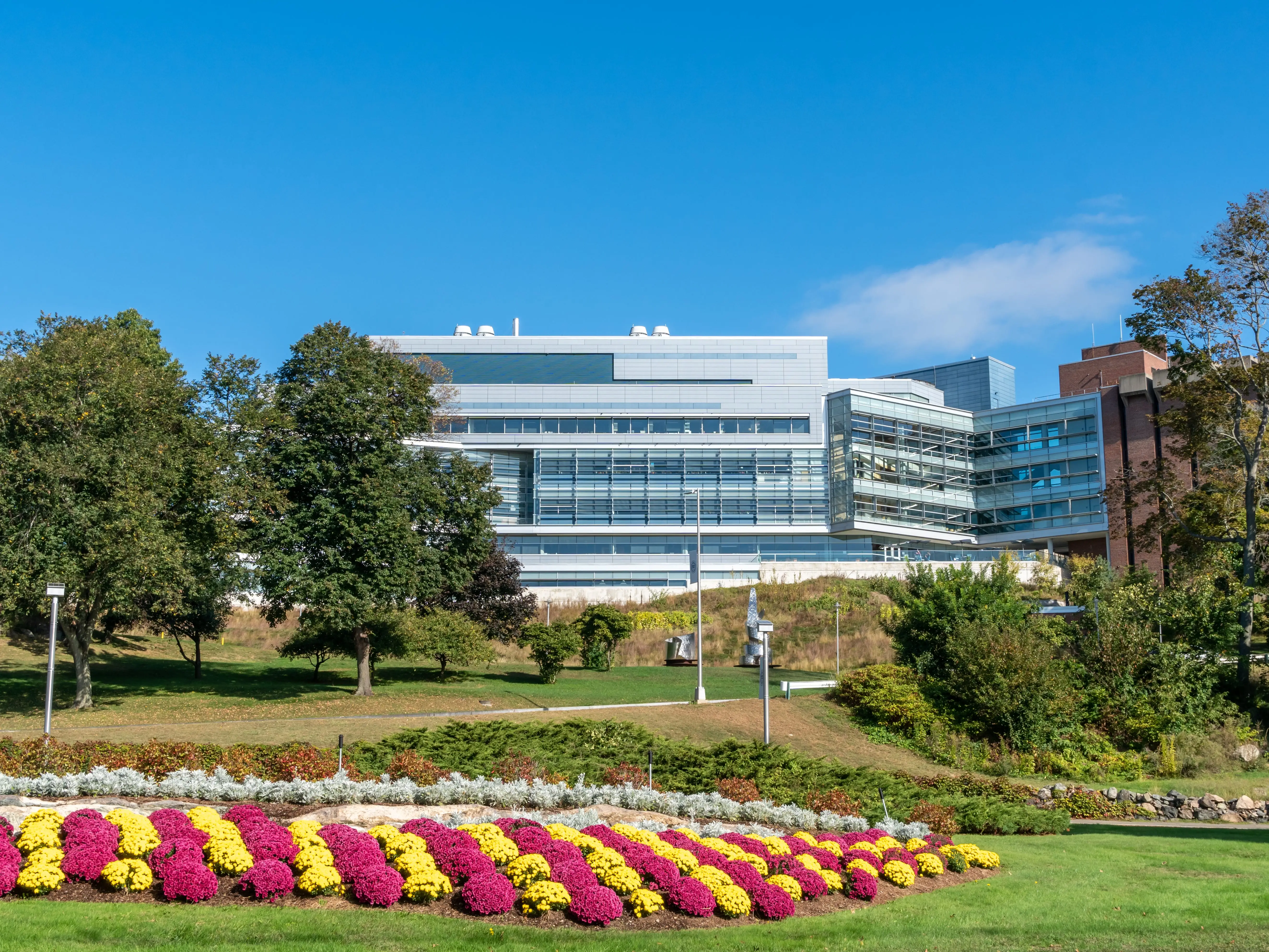 View of Brandeis University entrance and campus buildings.