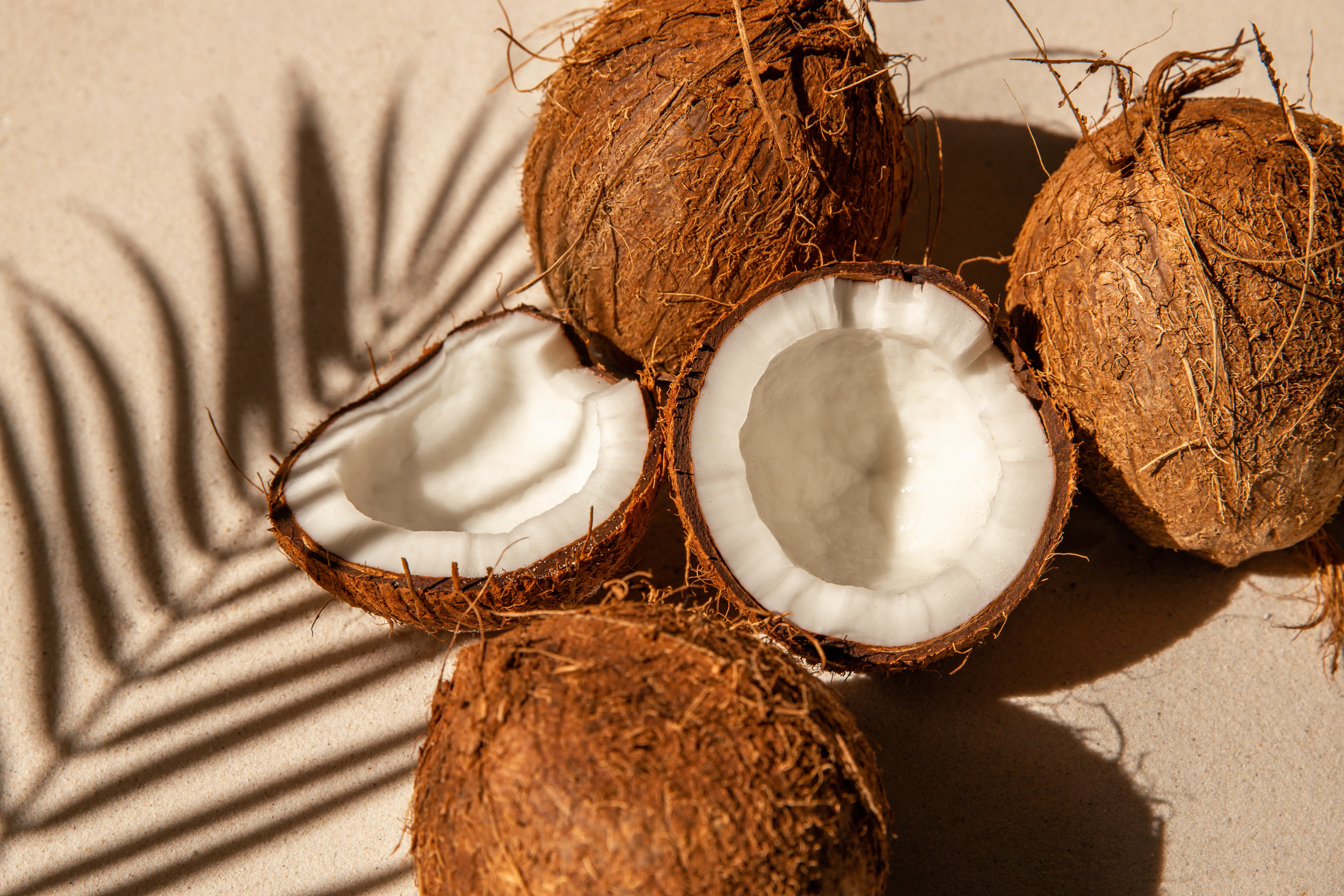 Coconuts on a sidewalk.
