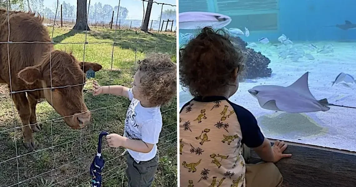 I thought we’d avoided the ‘terrible twos,’ but I was wrong. A weekly fun-day helps.