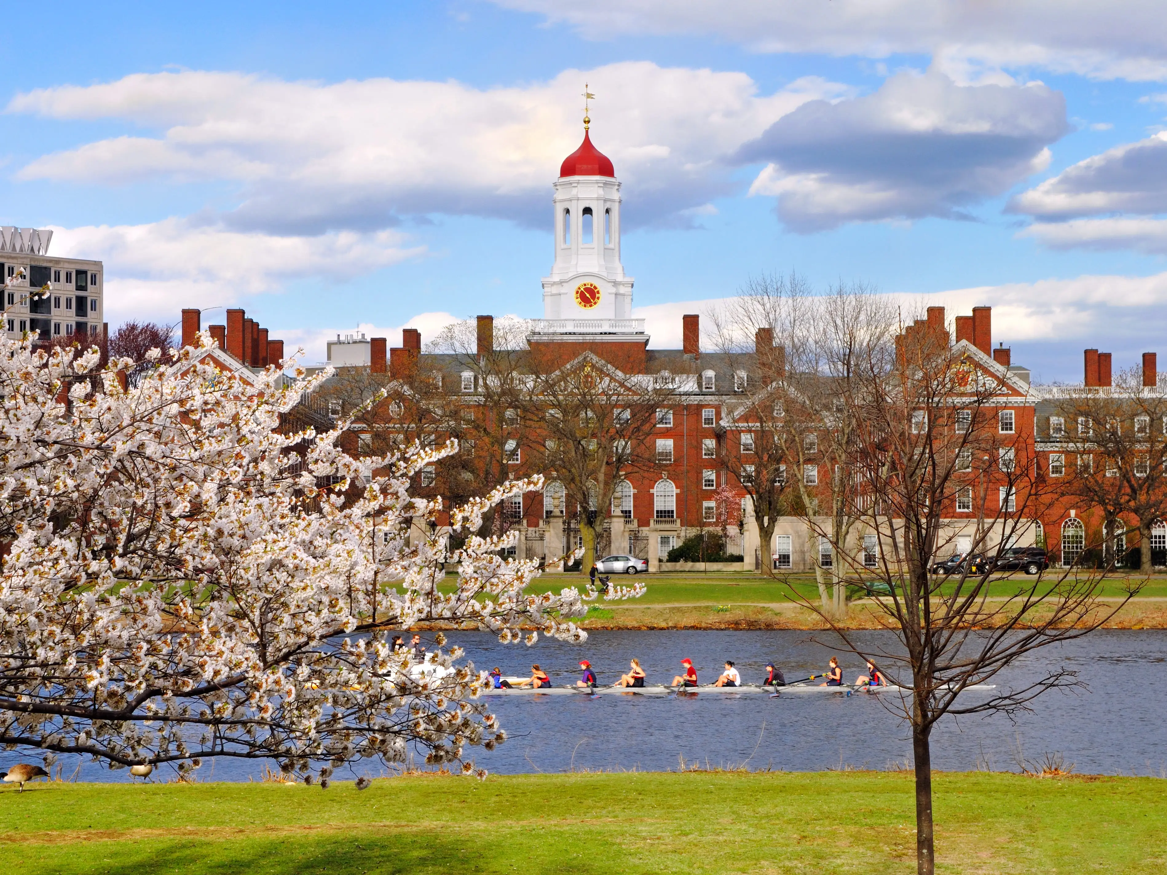 Harvard in the spring