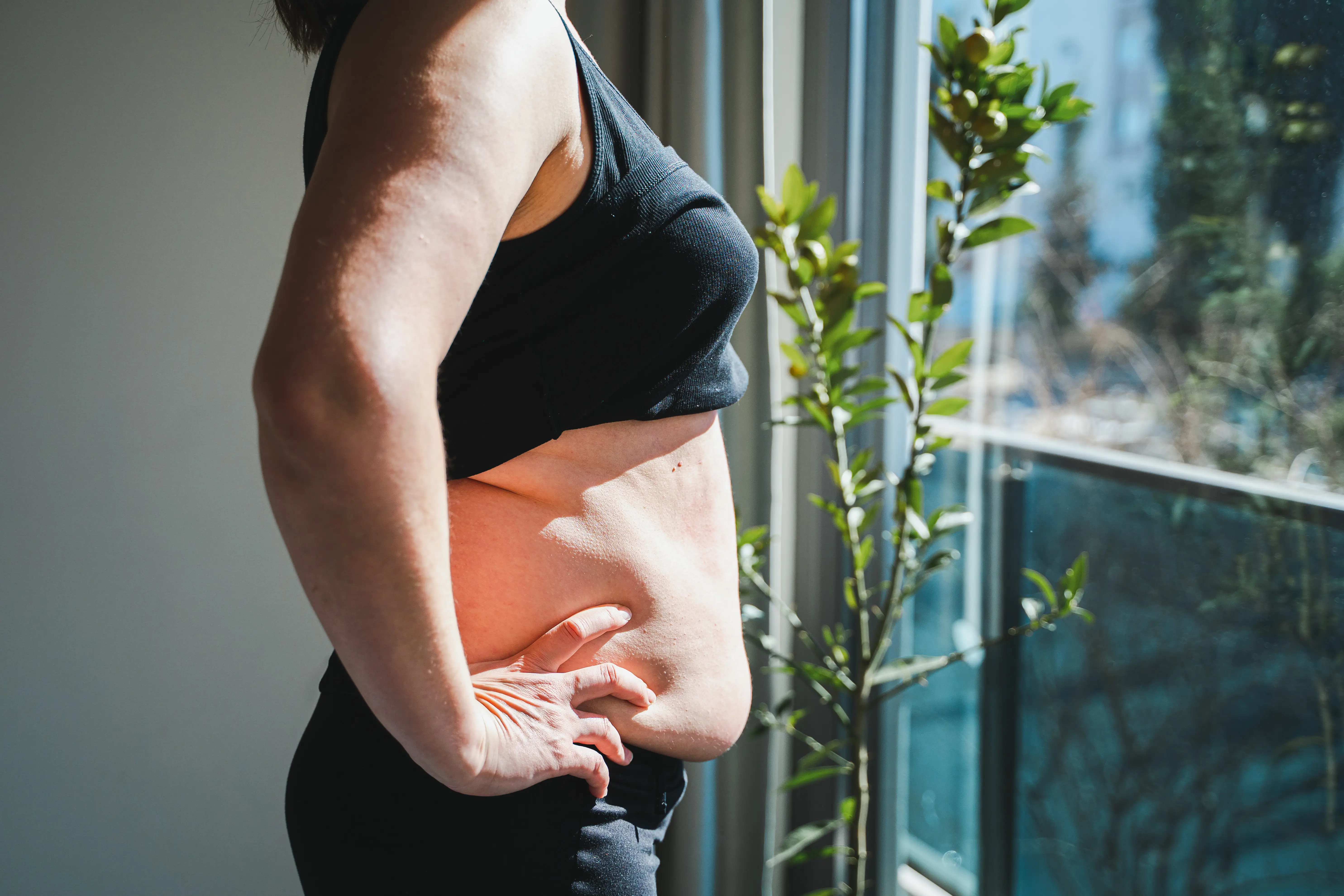 visceral fat