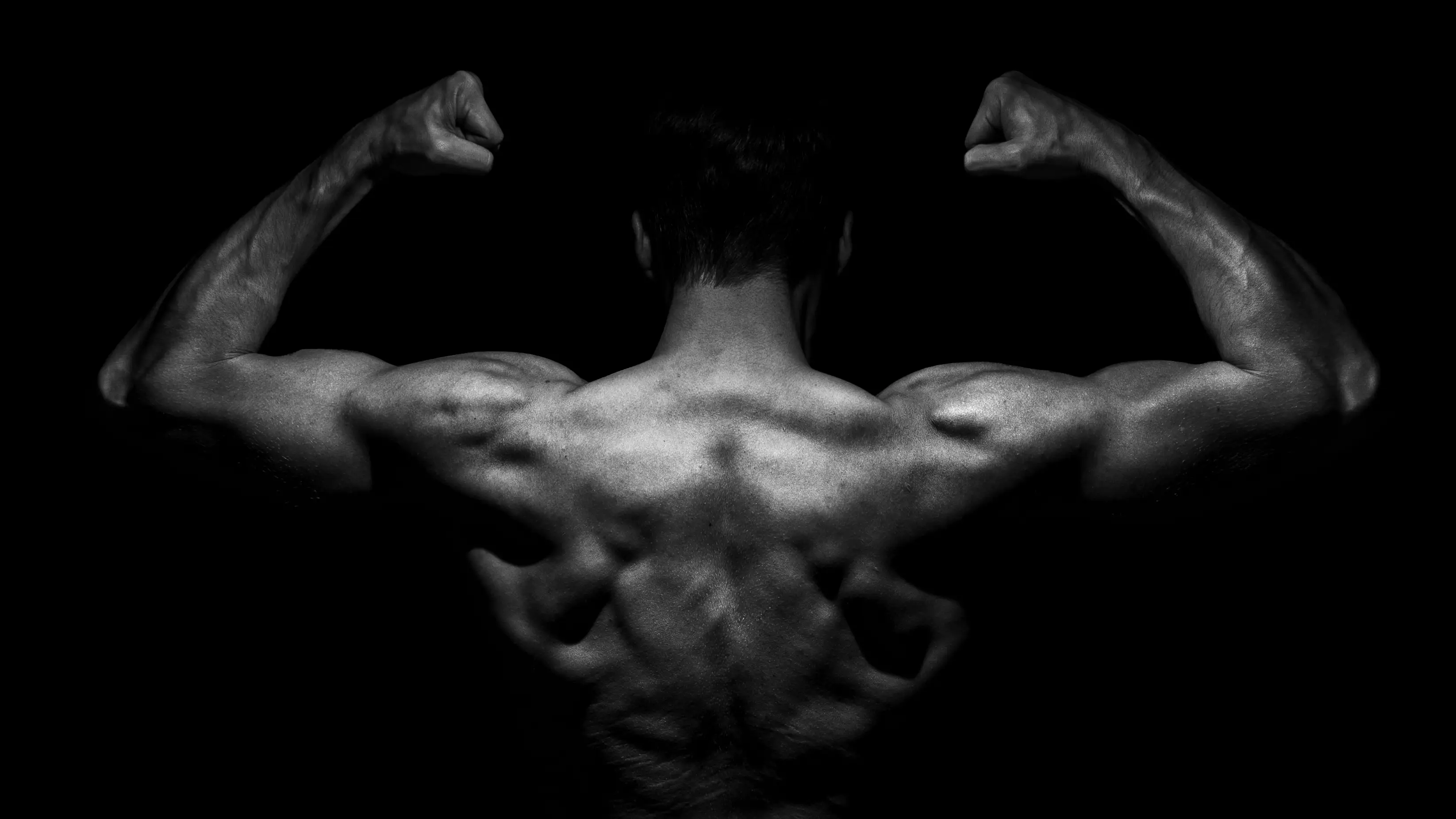 bodybuilder