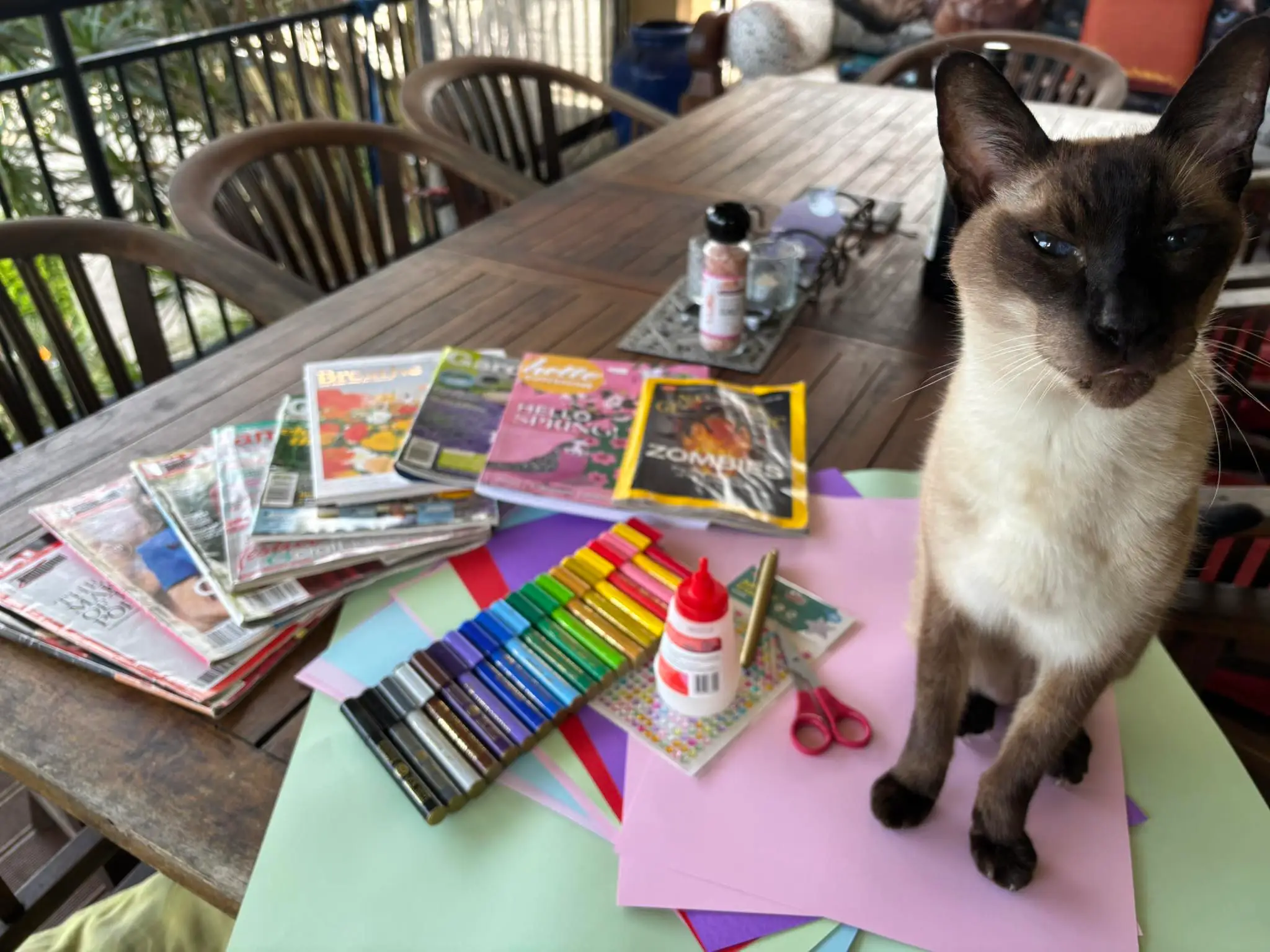 a cat sitting on a table with papers, magazines, and markers.