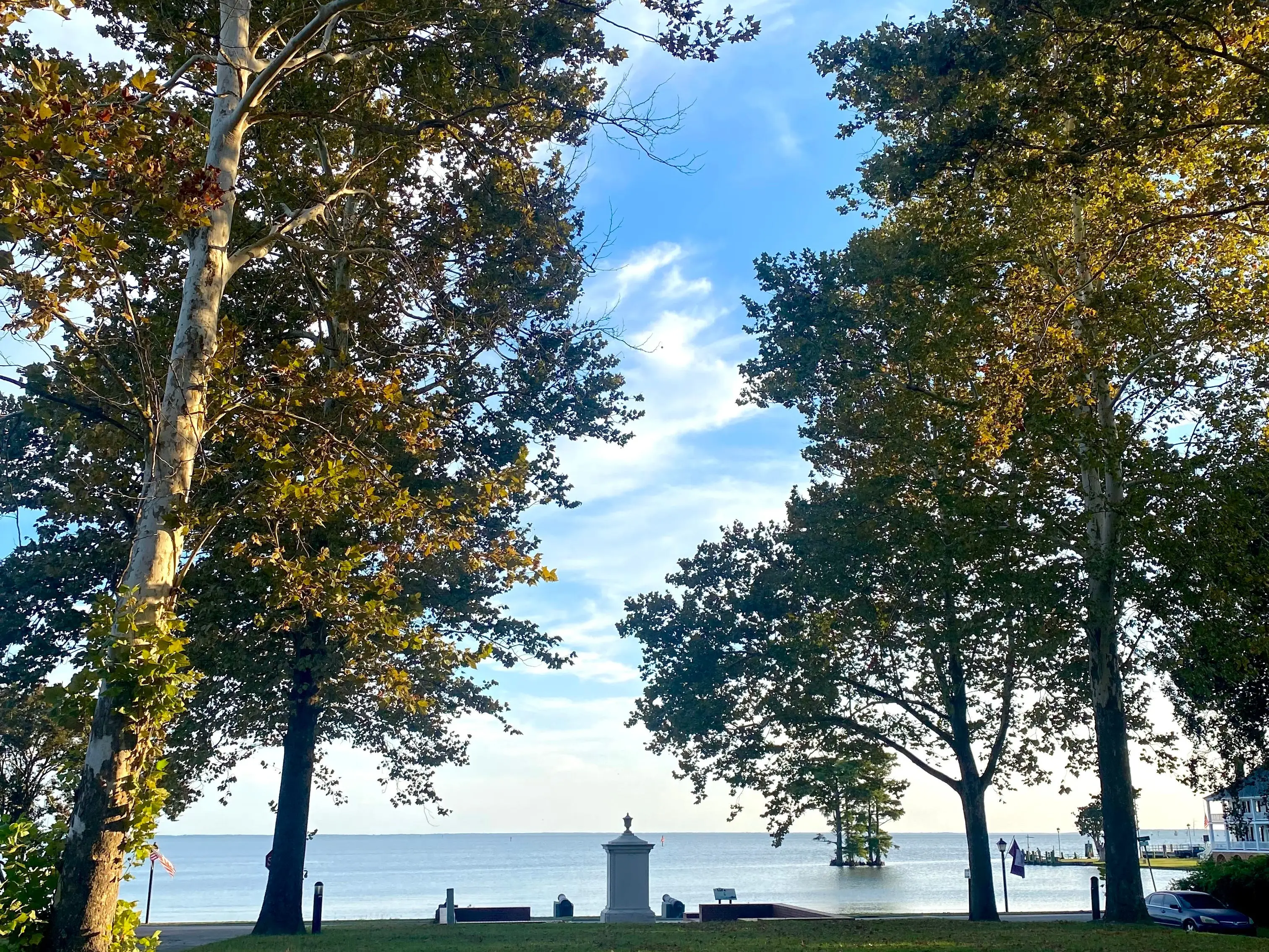 A park full of trees near the water in Edenton, North Carolina.