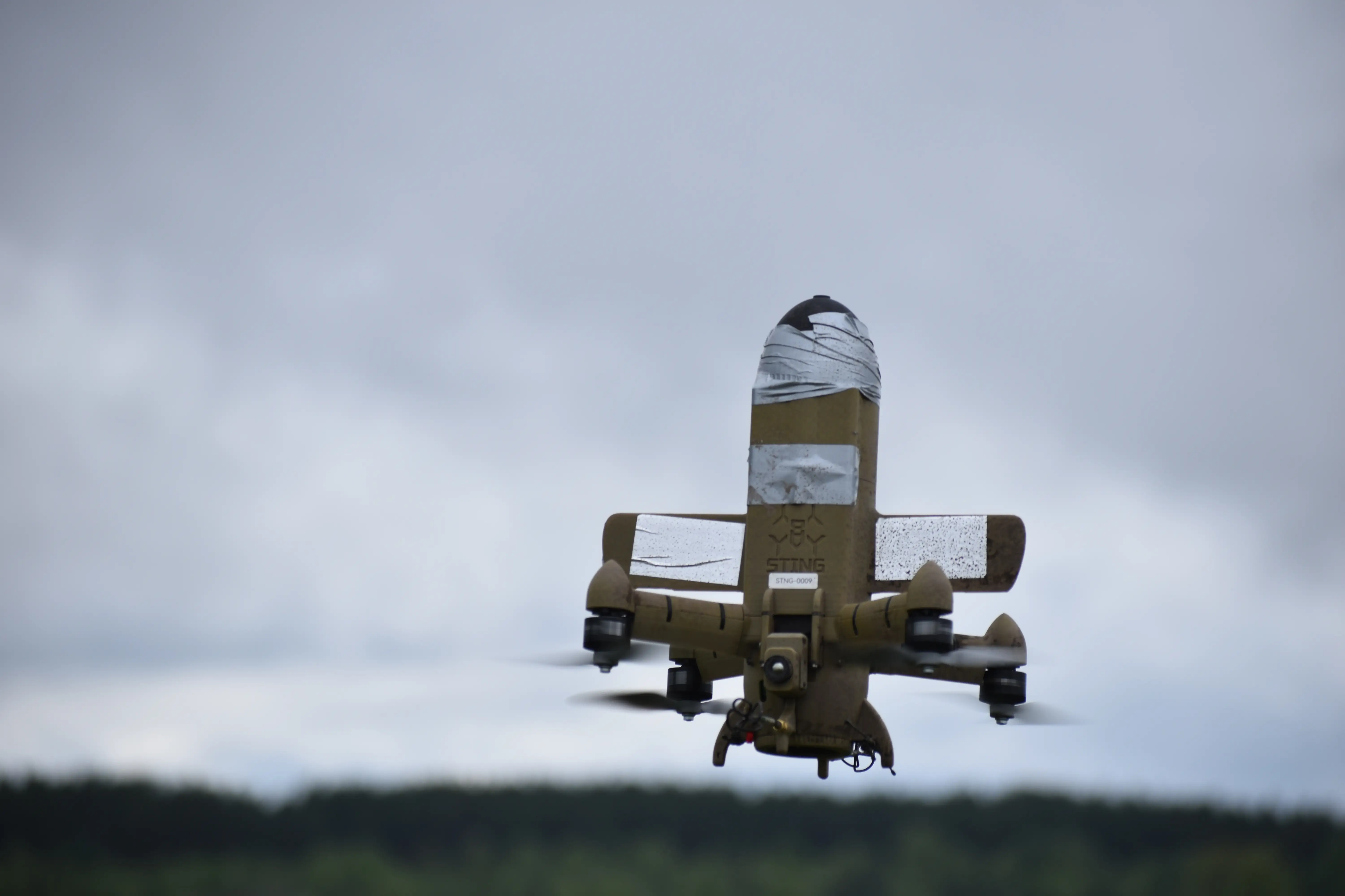A Wild Hornets 