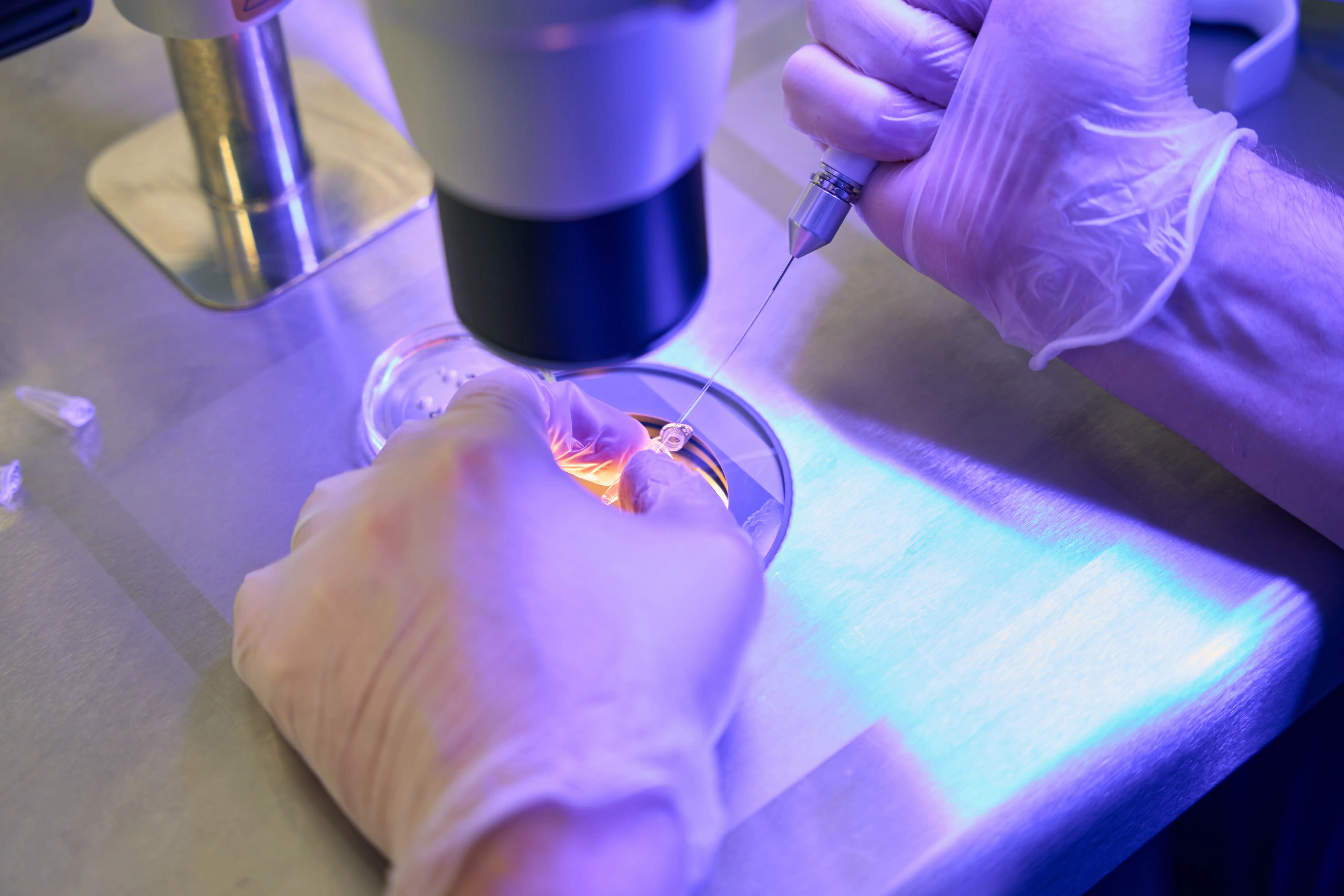 injecting cell in petri dish