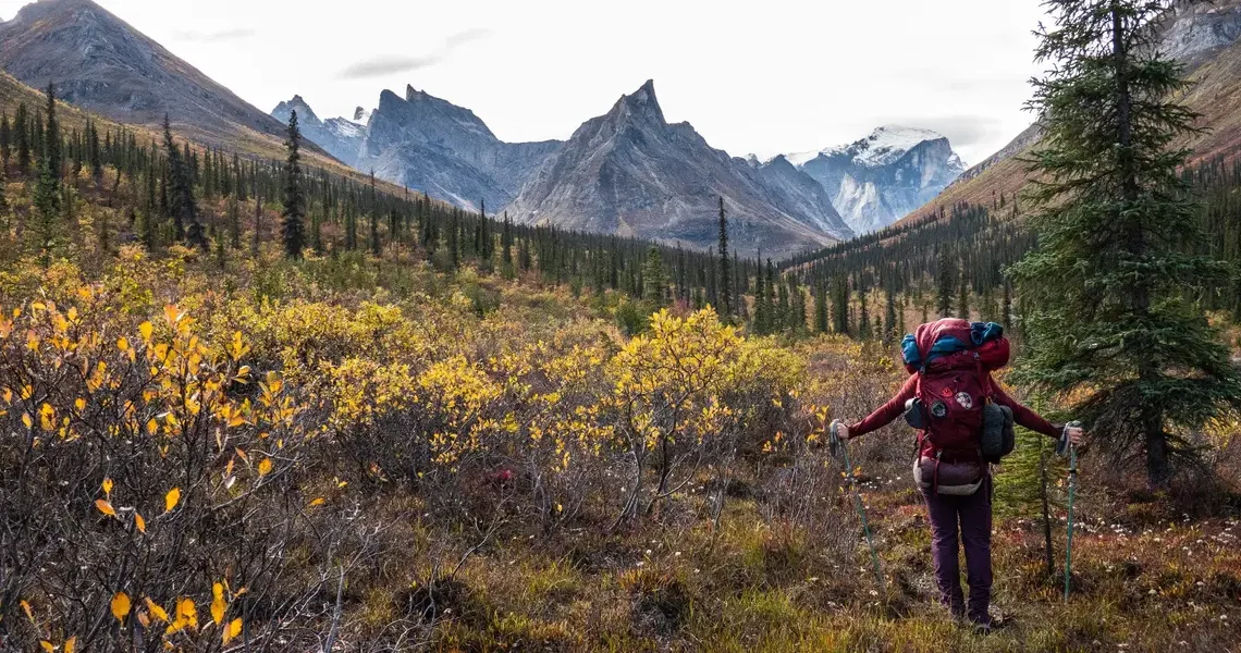 I’ve been to all 63 US national parks. These 4 are my favorites — but these 3 didn’t impress me much.