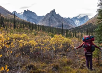 I’ve been to all 63 US national parks. These 4 are my favorites — but these 3 didn’t impress me much.