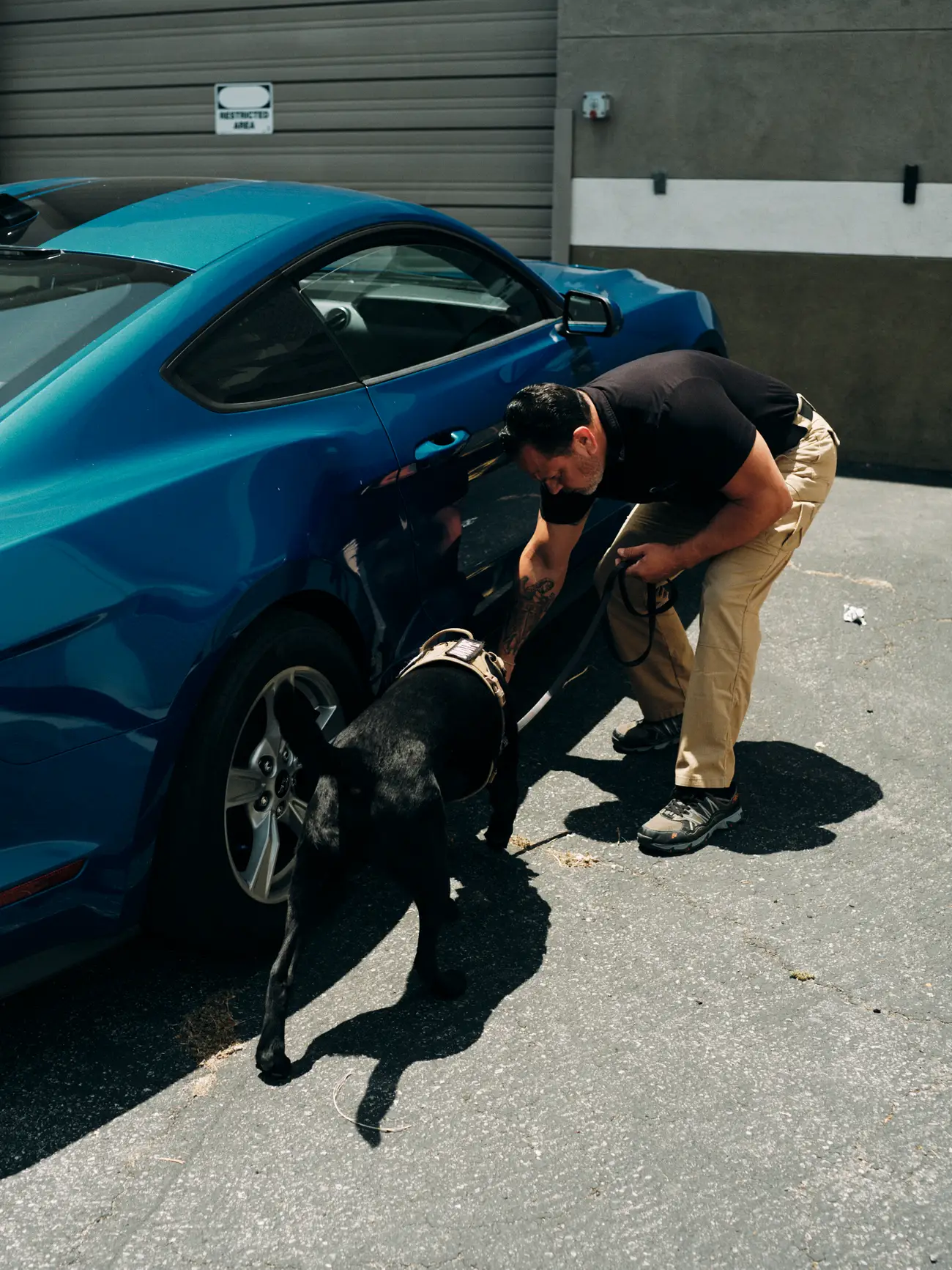K-9 Security