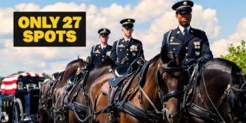 What Army horse soldiers go through in Arlington funeral training