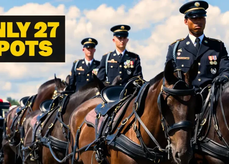 What Army horse soldiers go through in Arlington funeral training