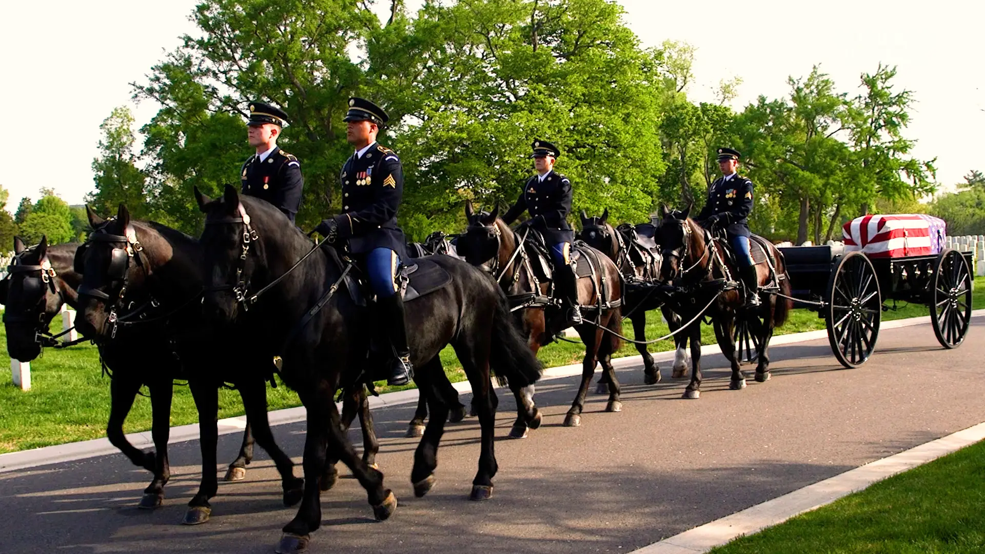 Horses pulling a casket at an Arlington funeral.