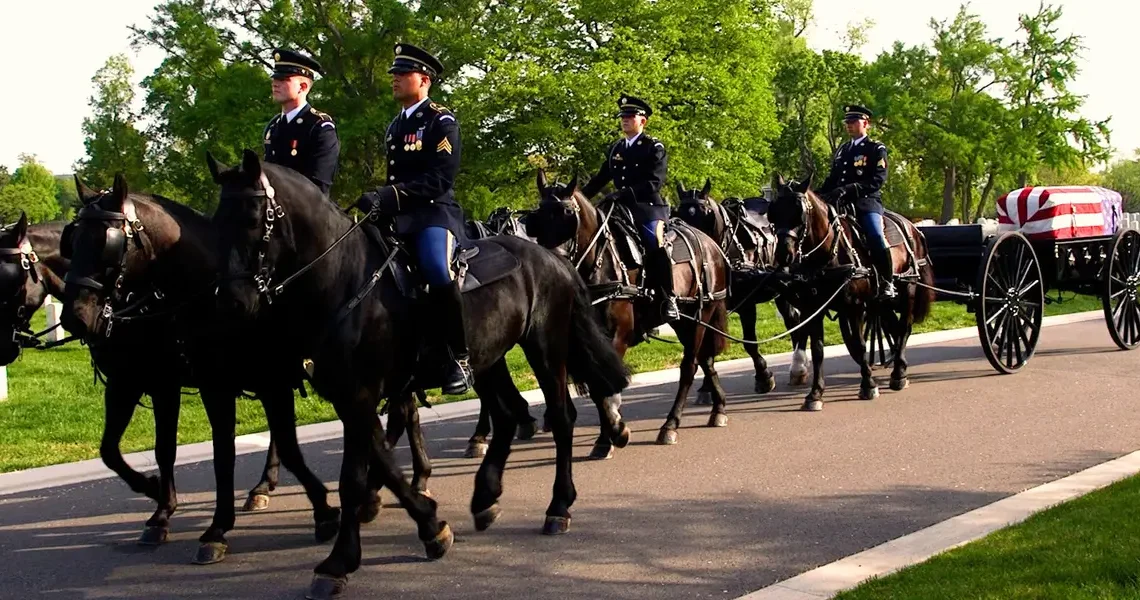 Inside the Army’s $30 million effort to revamp its funeral horse program after a series of horse deaths