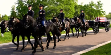 Inside the Army’s $30 million effort to revamp its funeral horse program after a series of horse deaths