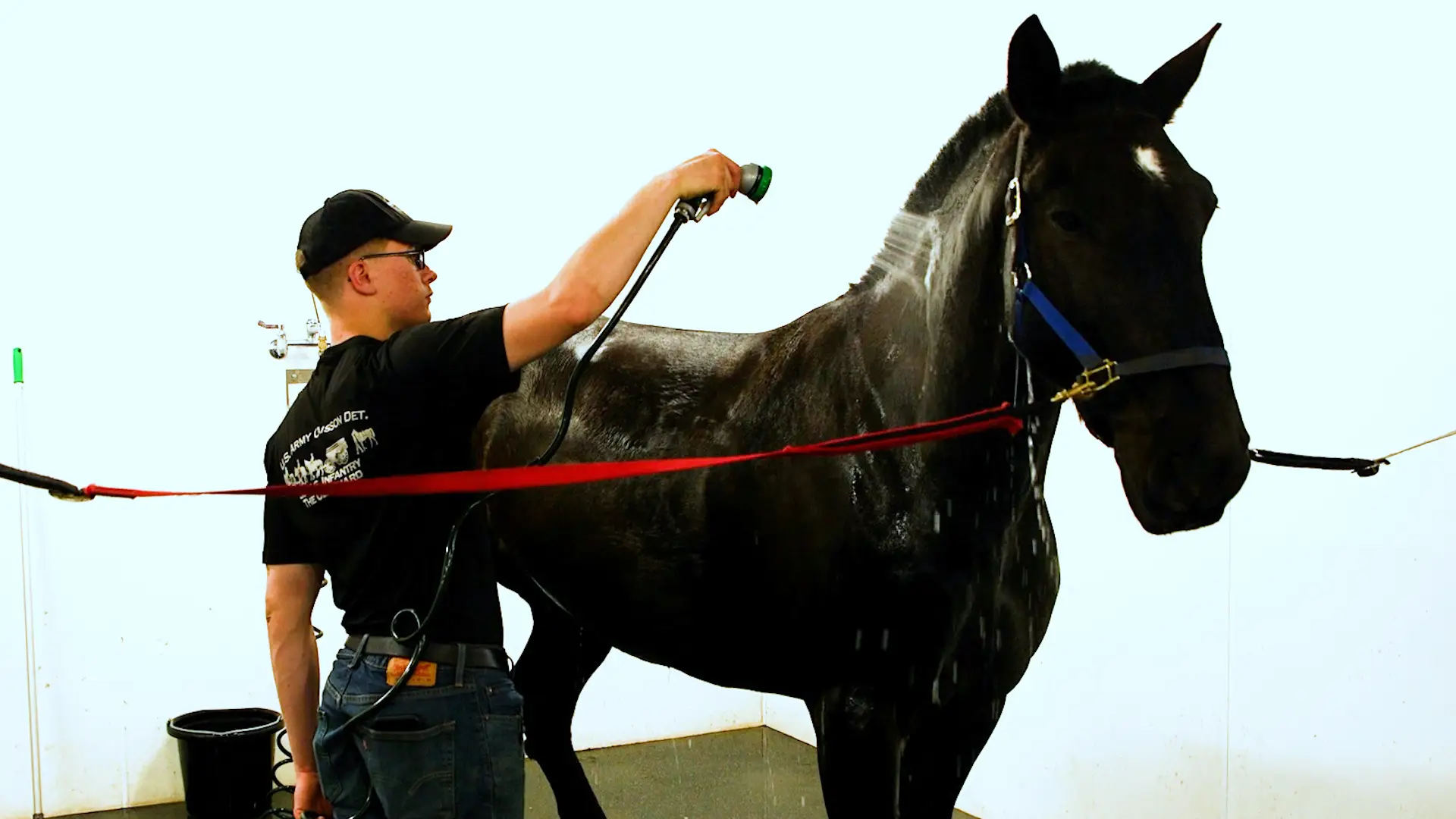 A soldier in training stands next to a black horse, washing it down with a hose.
