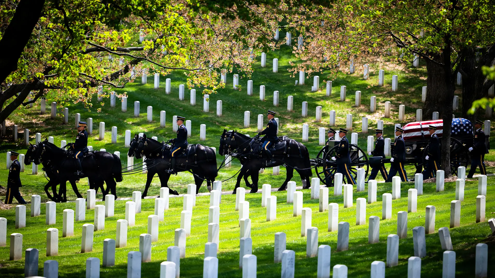 Horse-drawn carriage for Arlington funeral.