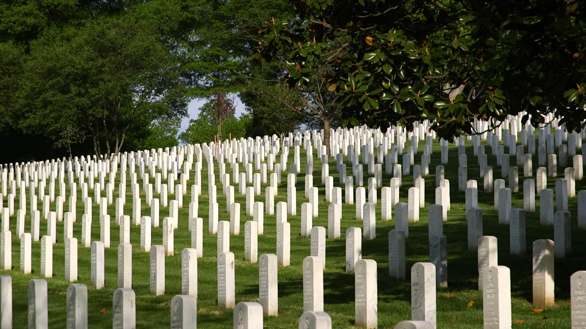 White grave stones in Arlington National Cemetery.
