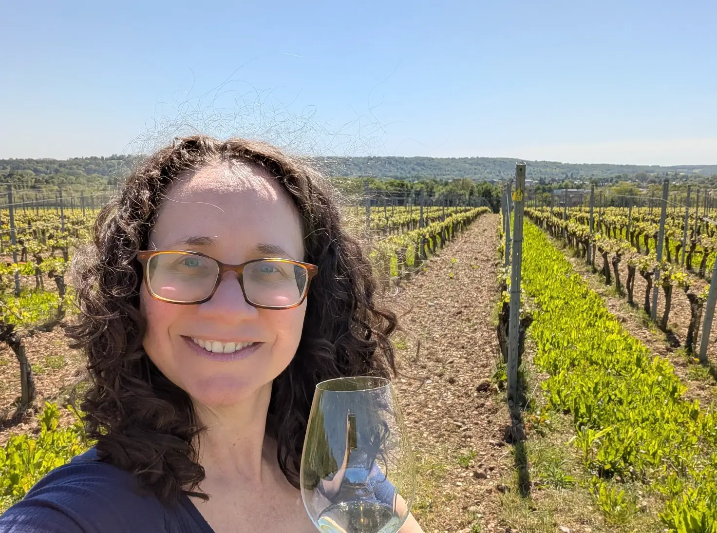 The writer holding a glass of wine and standing in front of vineyard rows in Thames and Chilterns.