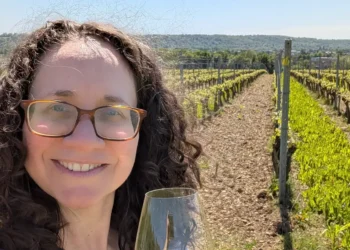 I’m a certified sommelier. These 4 underrated European wine regions belong on your travel bucket list.