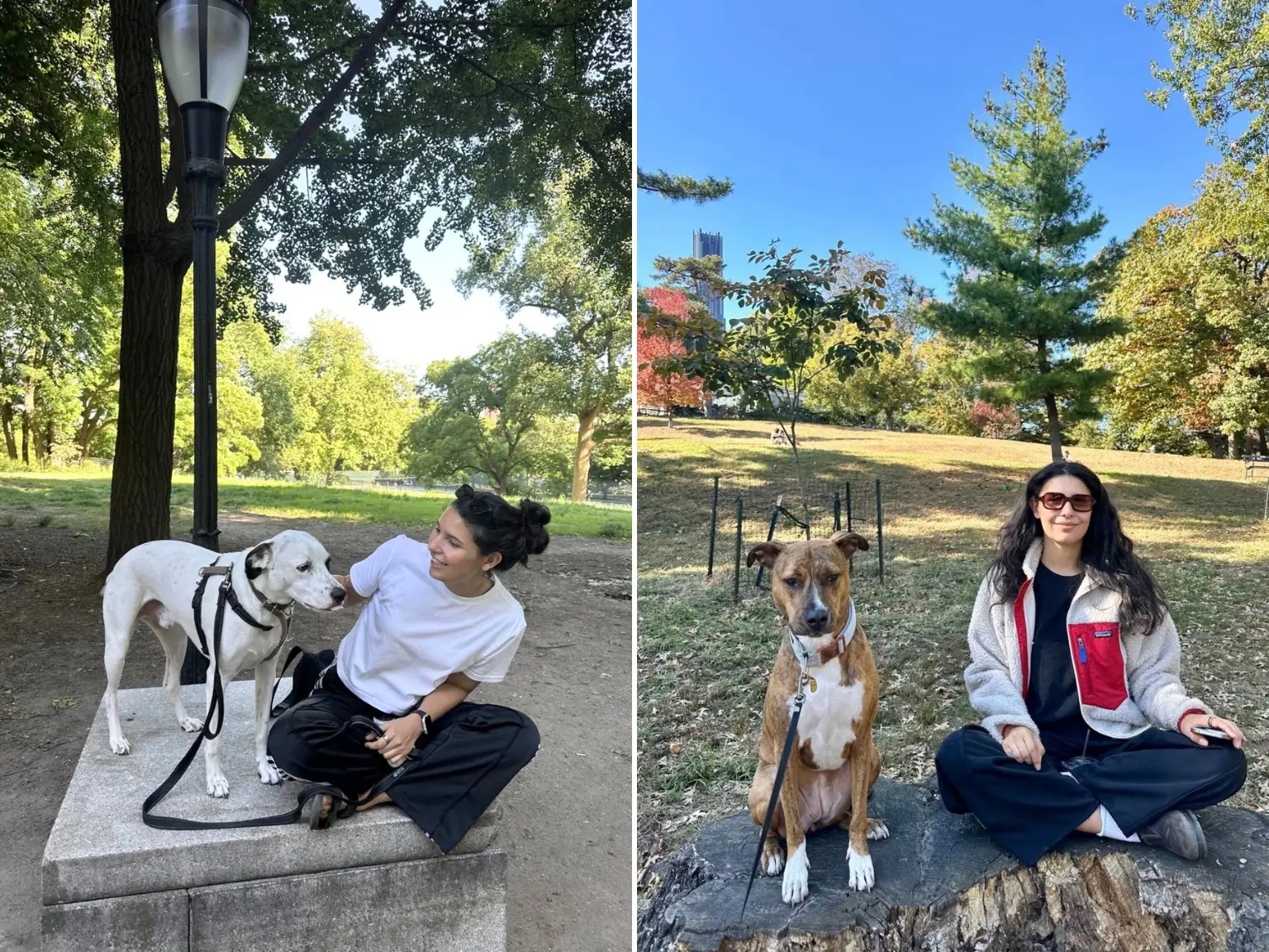 Jennifer Martinez with the dogs she petsits.