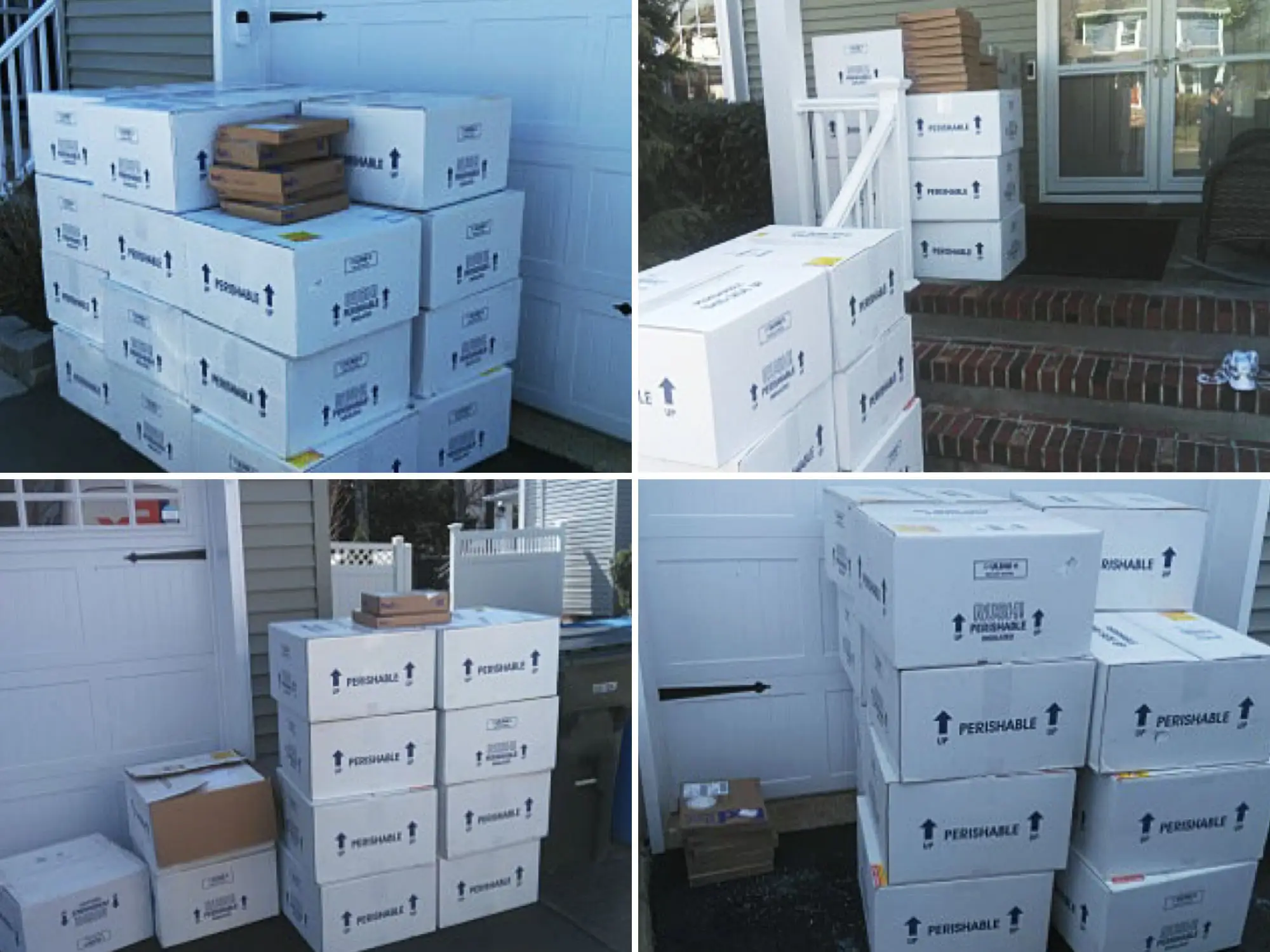 Fedex images of shipments of alloClae