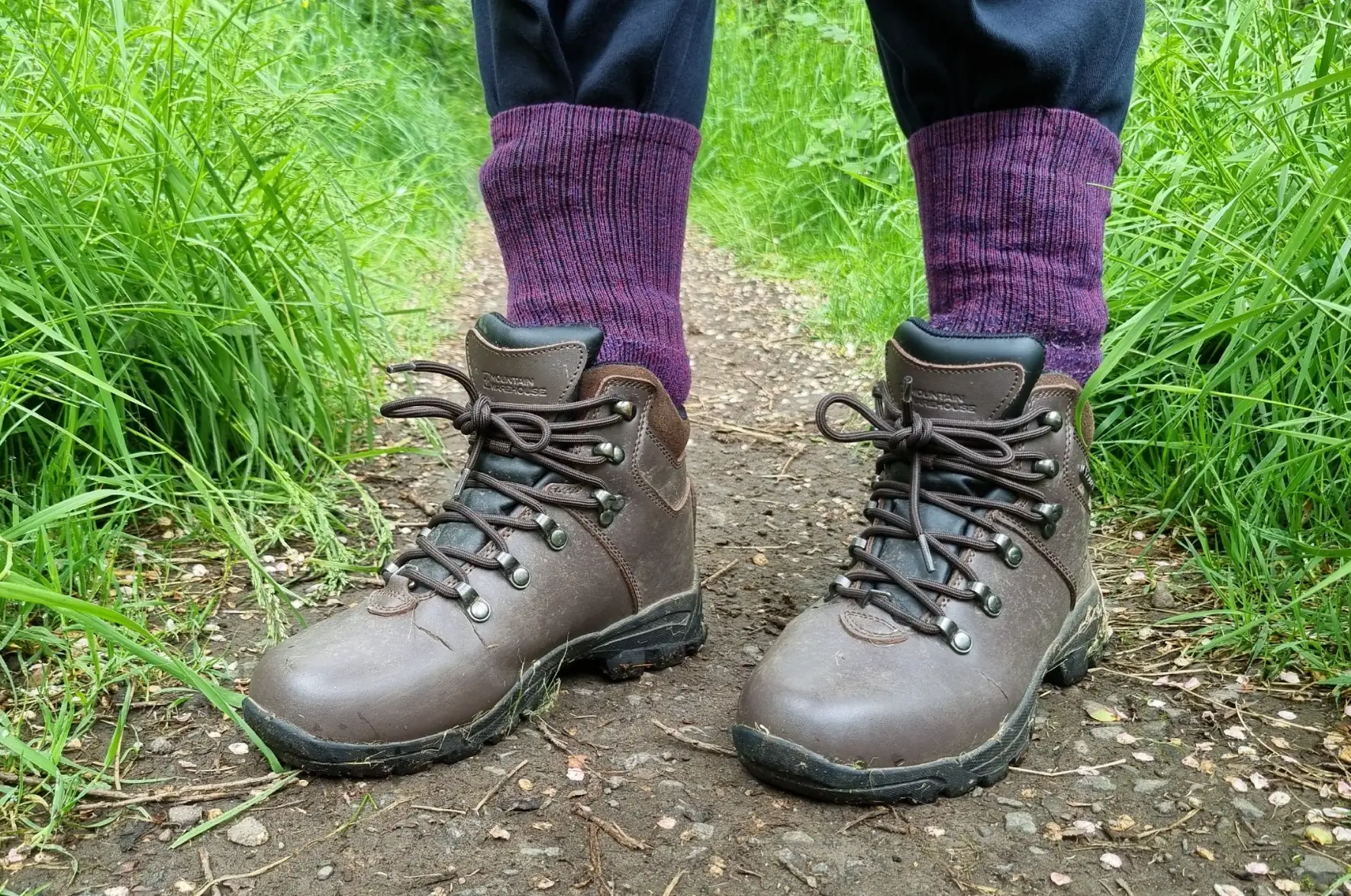 The writer's brown hiking shoes and purple socks in the grassy dirt.